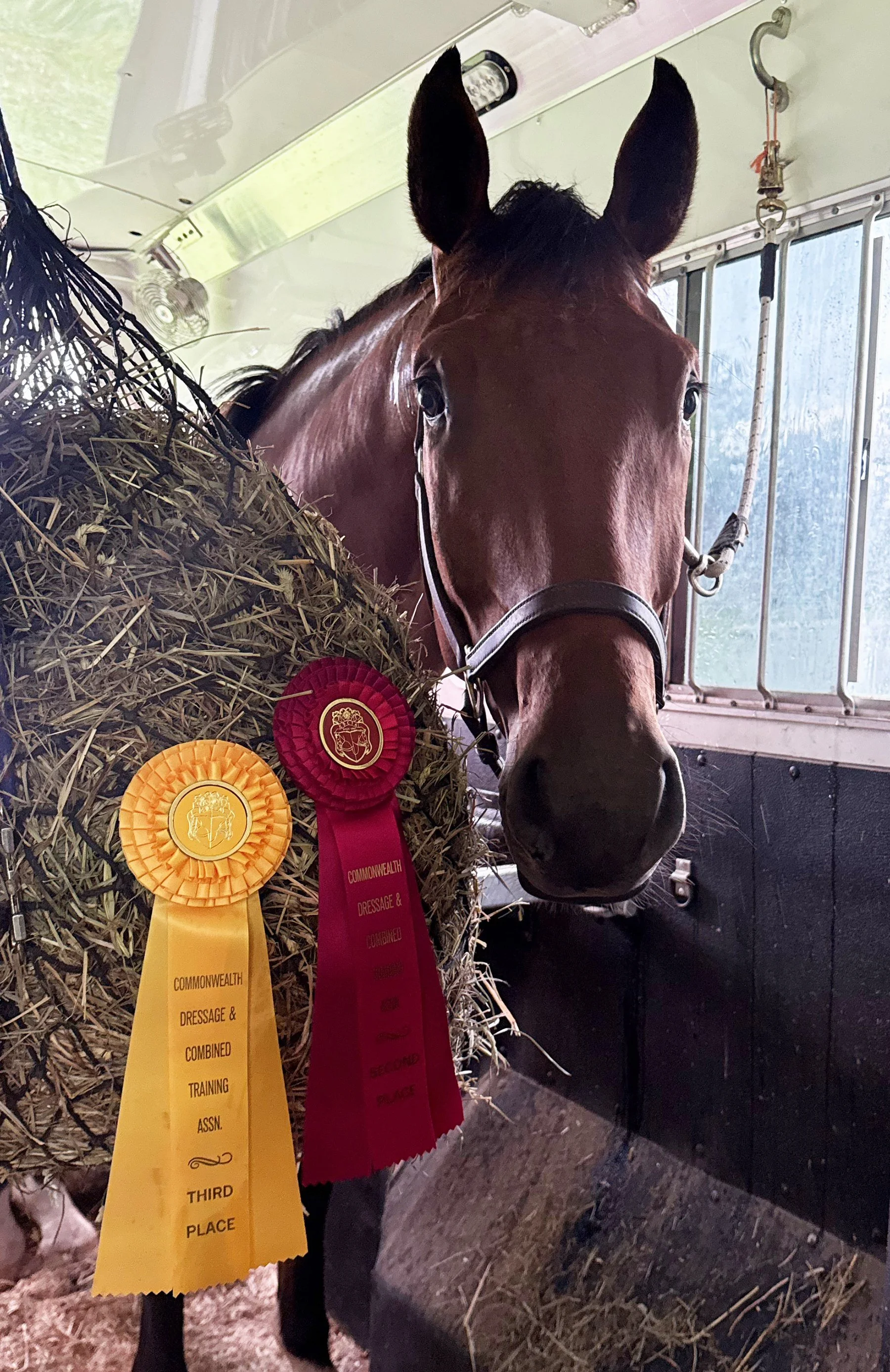 Fame GMDS ribbons 1.jpg