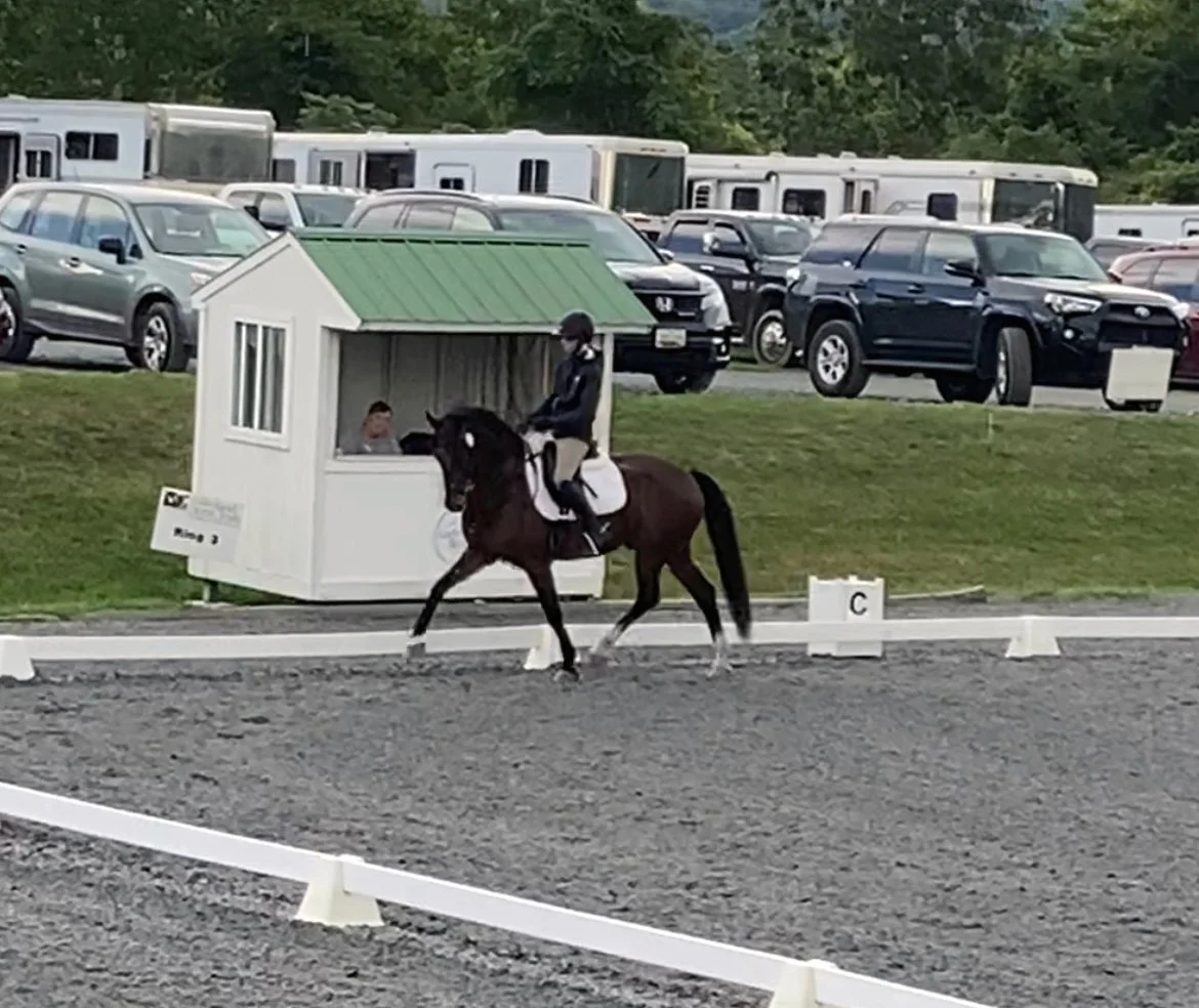 Marcelo MDTW trot 5.jpg