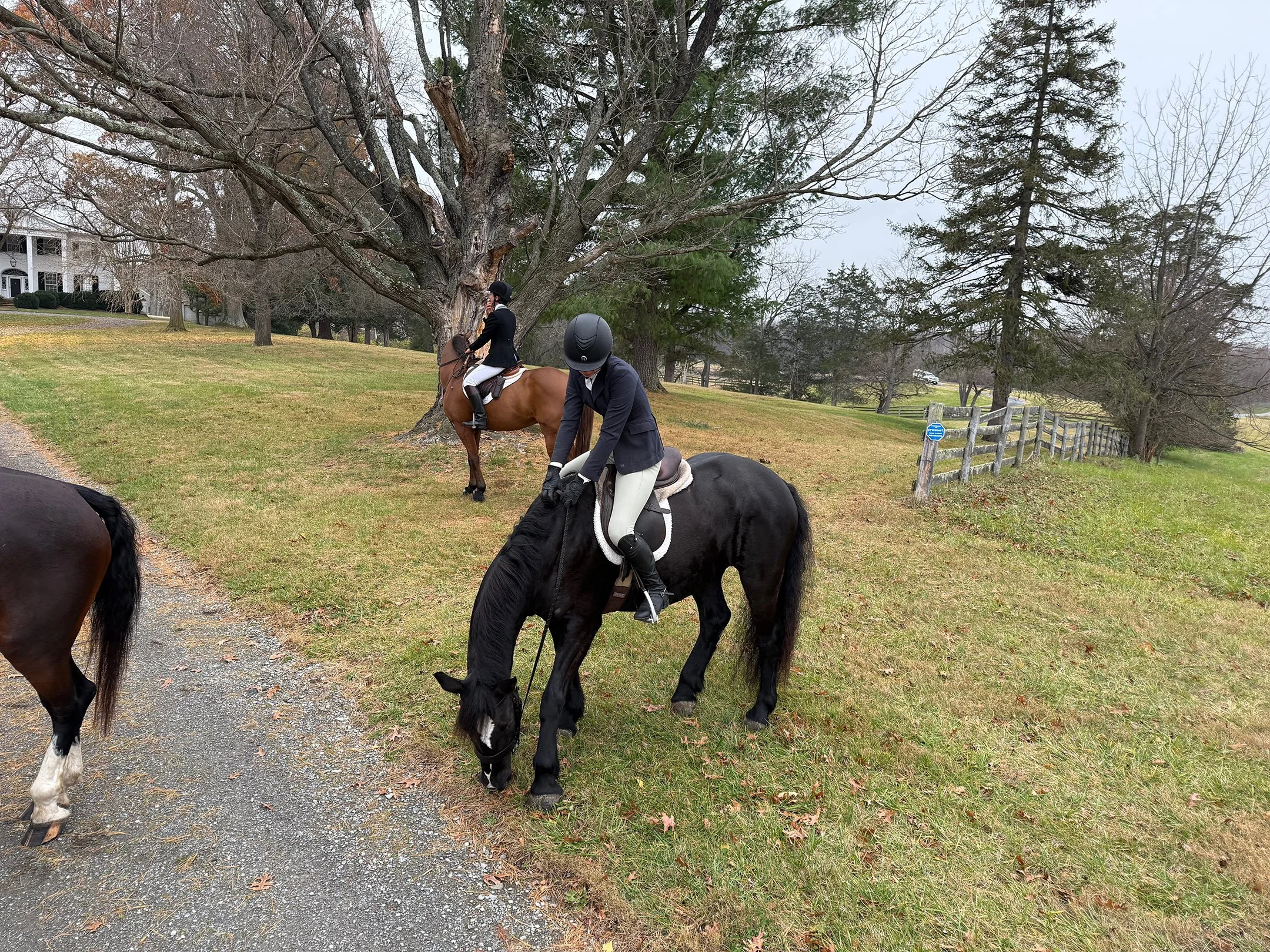 Ruca hunt 11-25-3.jpg