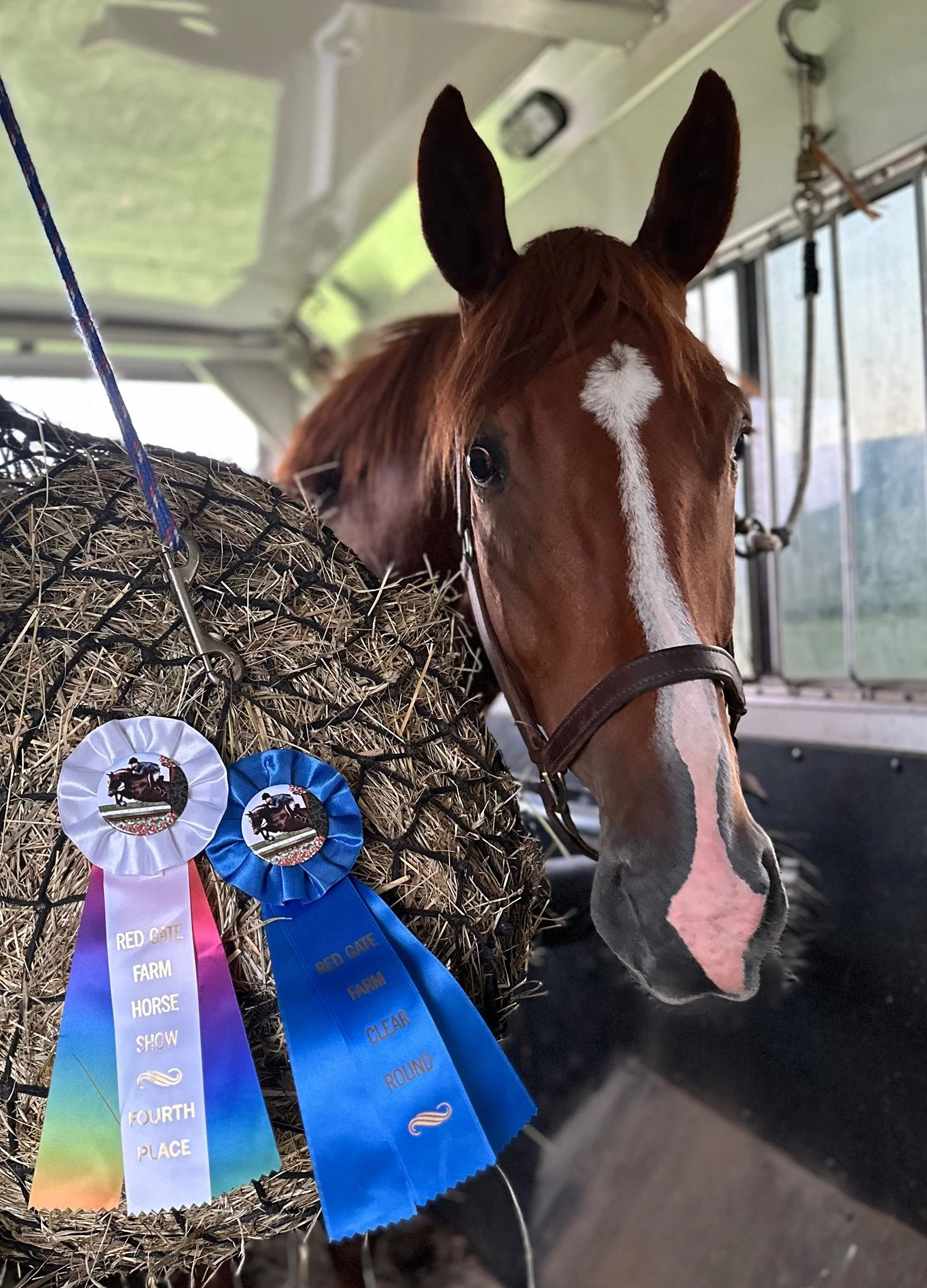 Titanium RGFJS ribbons.jpg