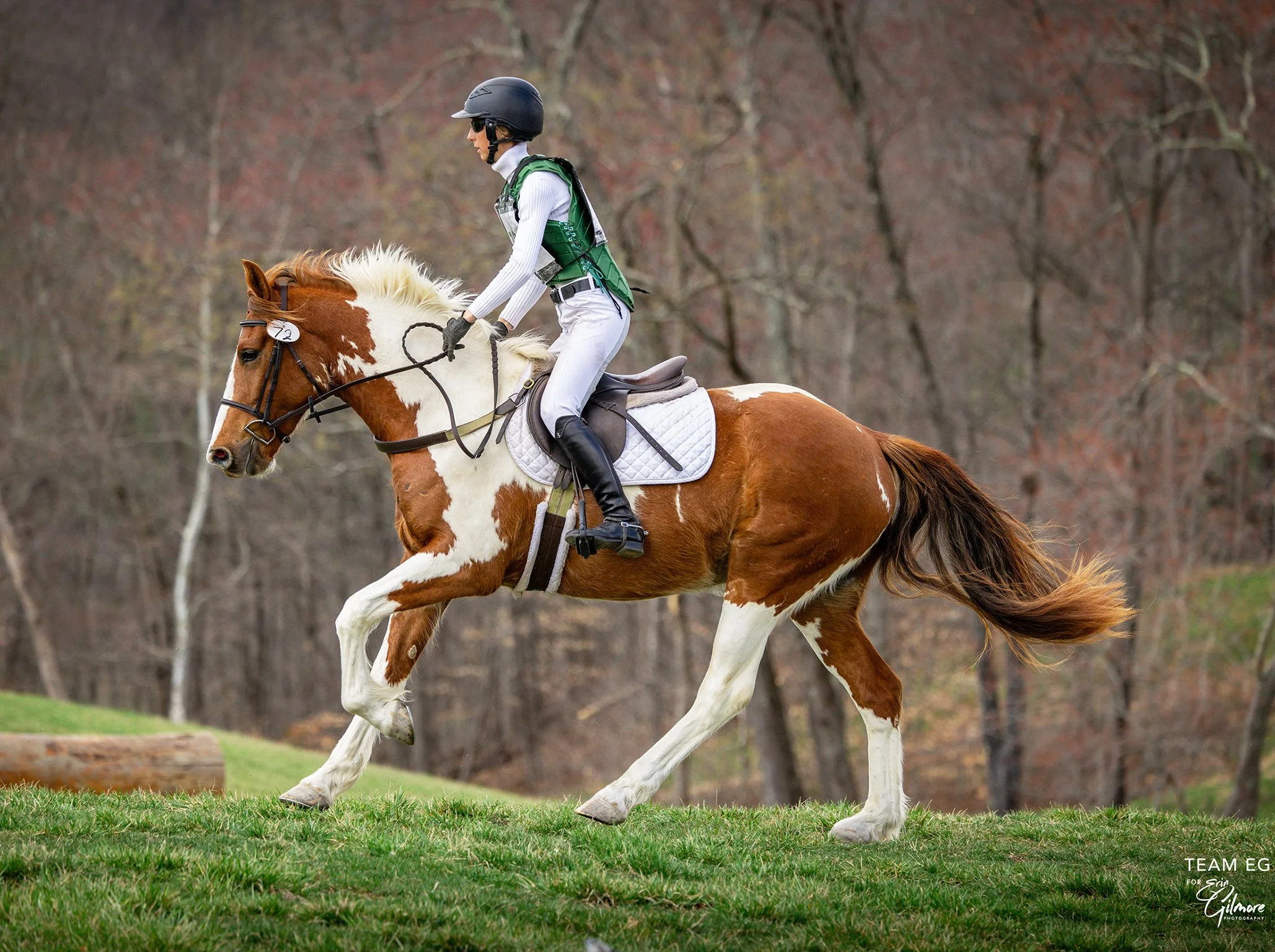 Fish MDST prof gallop 1 med.jpg