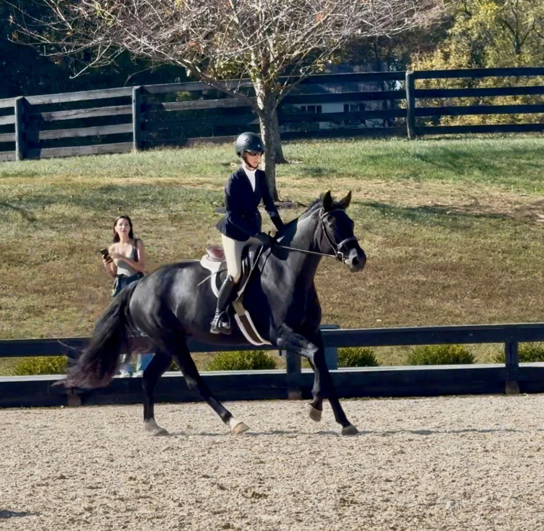 Fierce BVLYHS canter 1.jpg