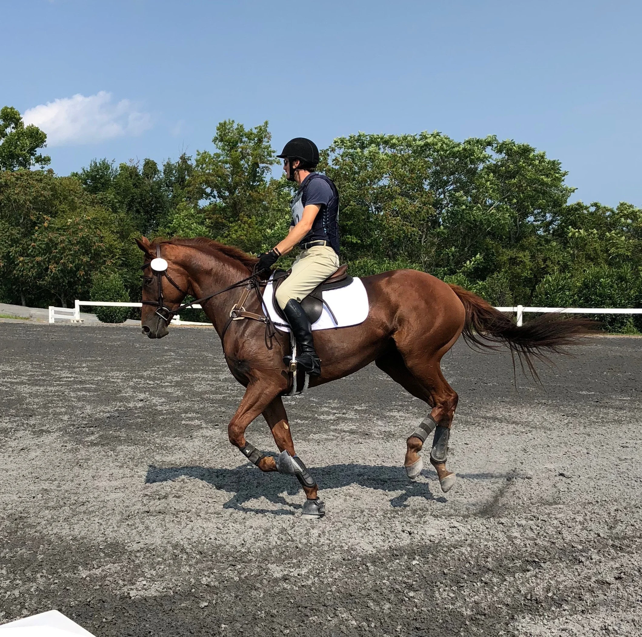 Ilka MDTW canter 1.jpg