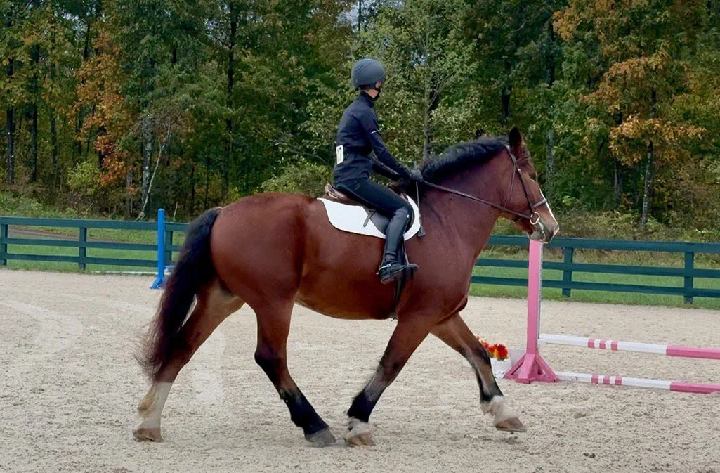 Mungo GMJS trot 3.jpg