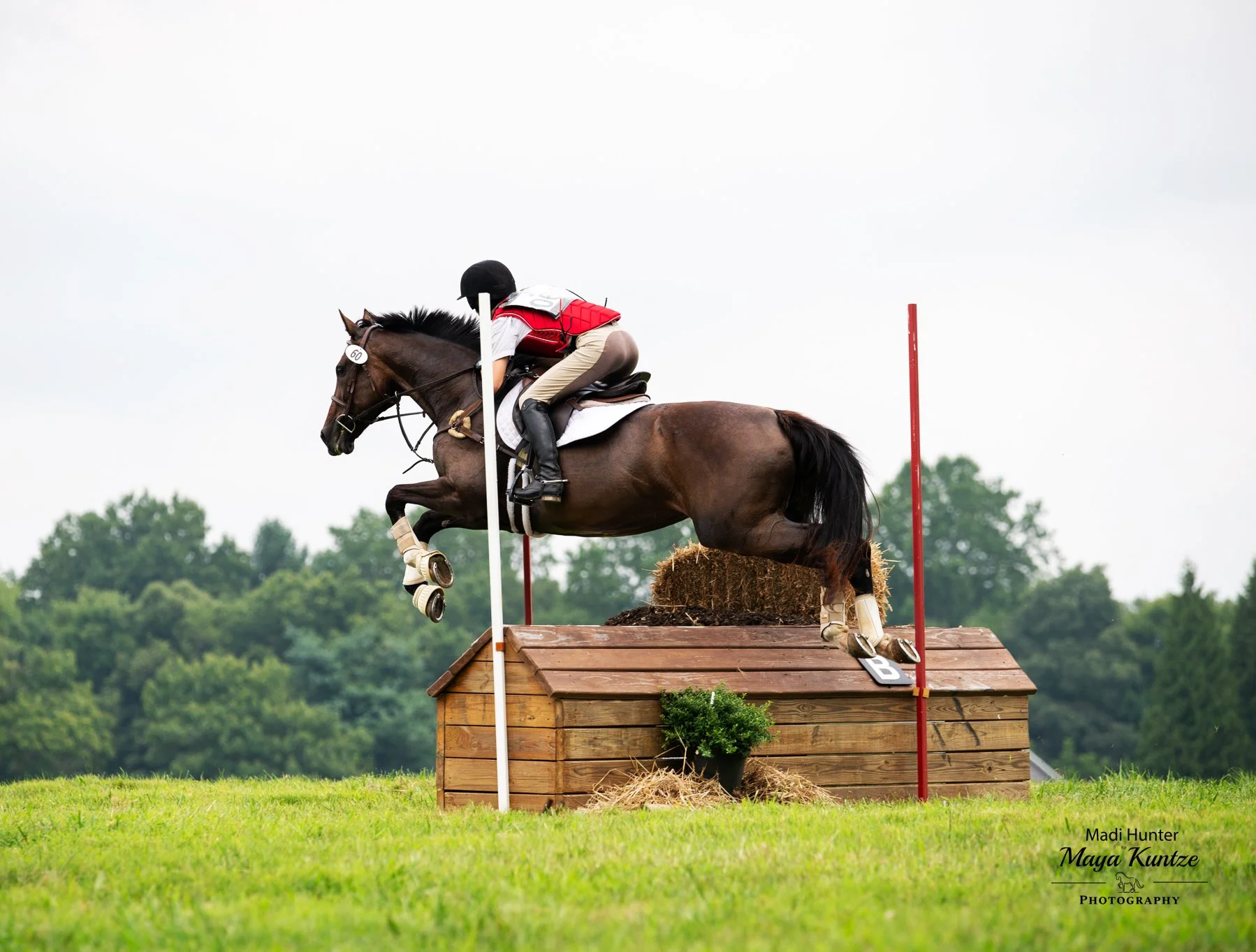 Jelly Bean WDHT prof xc jump 1.jpg