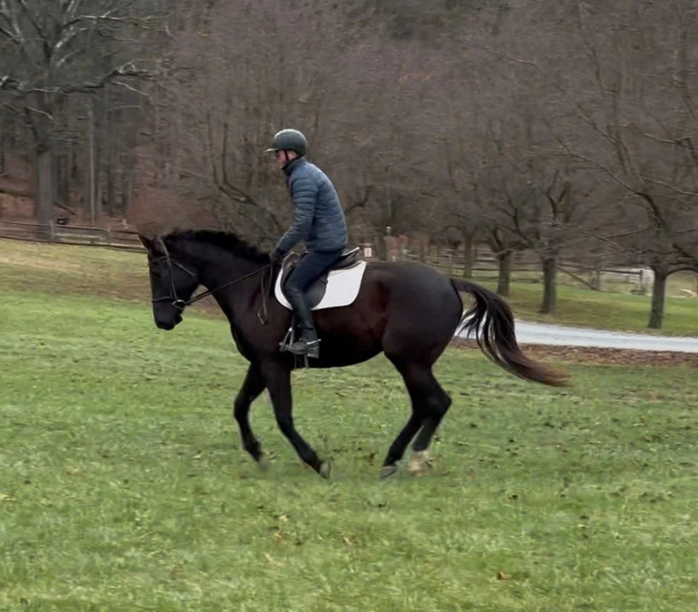 Willow canter 1.jpg