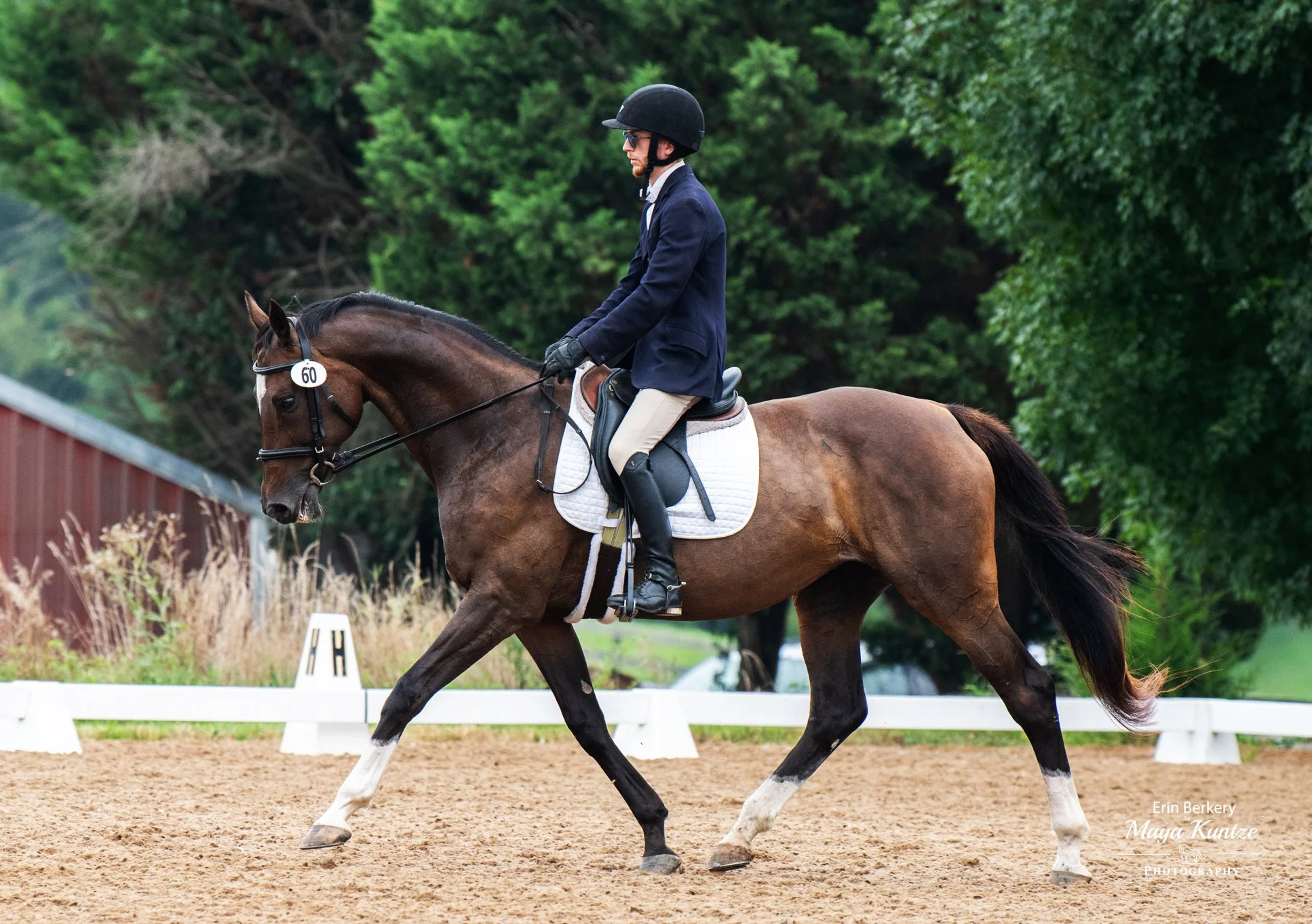 Jelly Bean WDHT prof trot 1.jpg