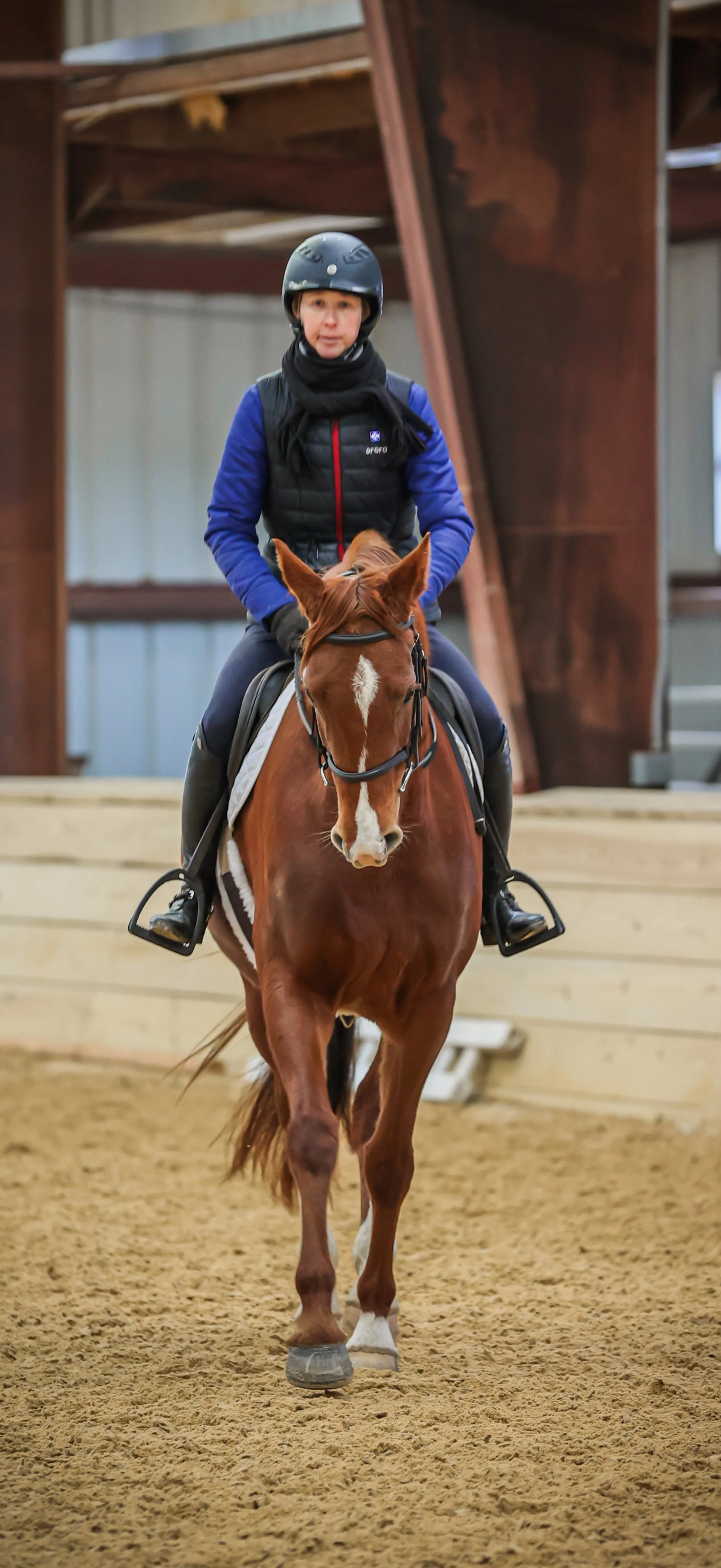 Cadenza PJS walk prof 1.jpg