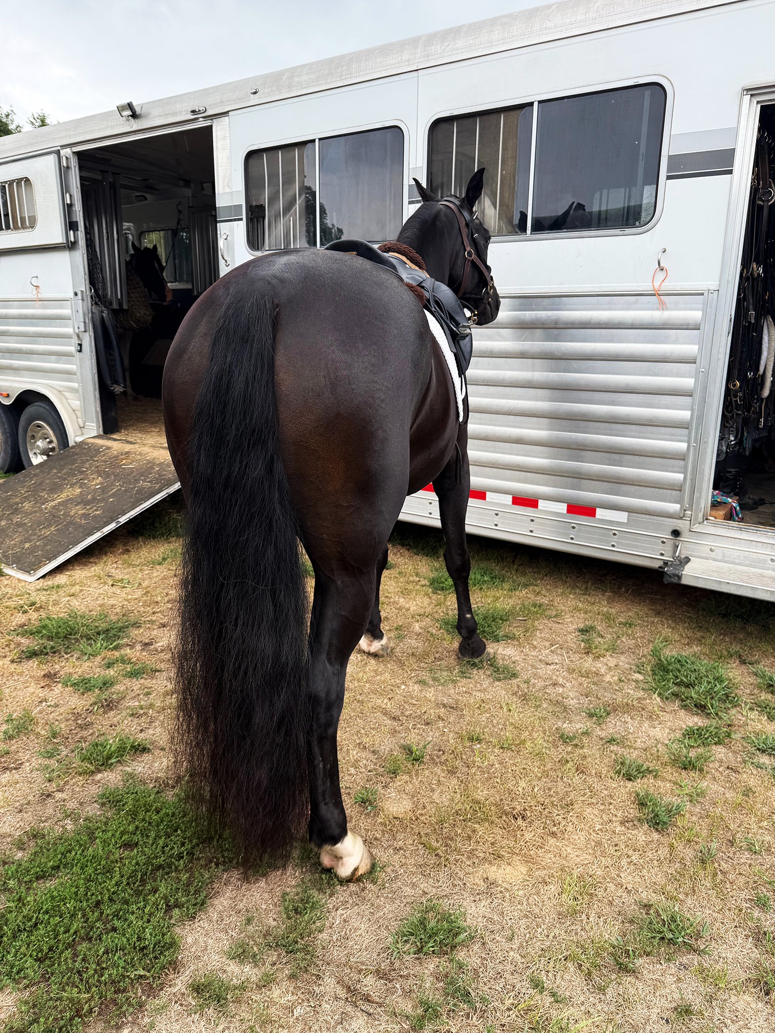 Fierce MDHTTW2 trailer tie 1.jpg