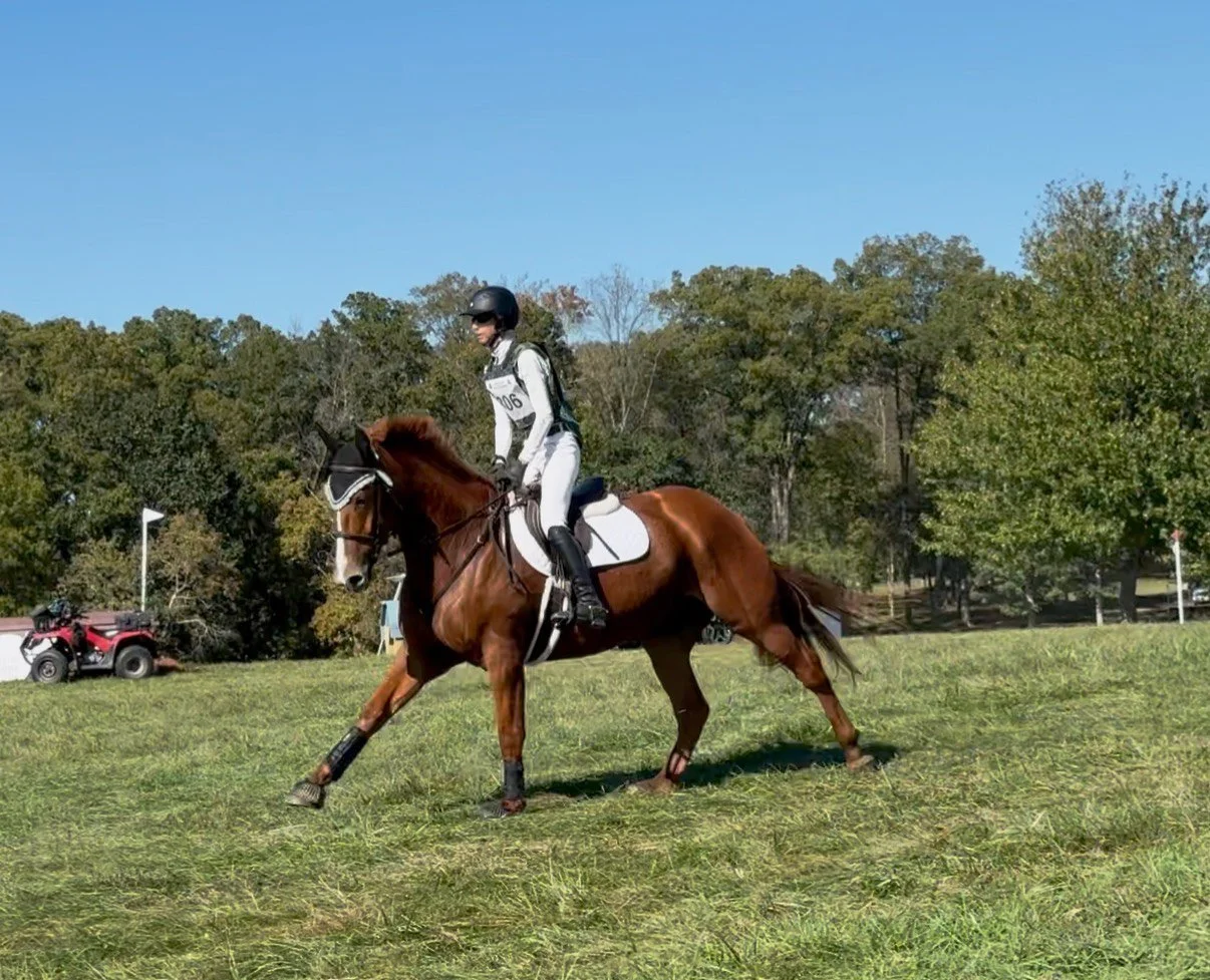 Titanium MDHT gallop 1.jpg