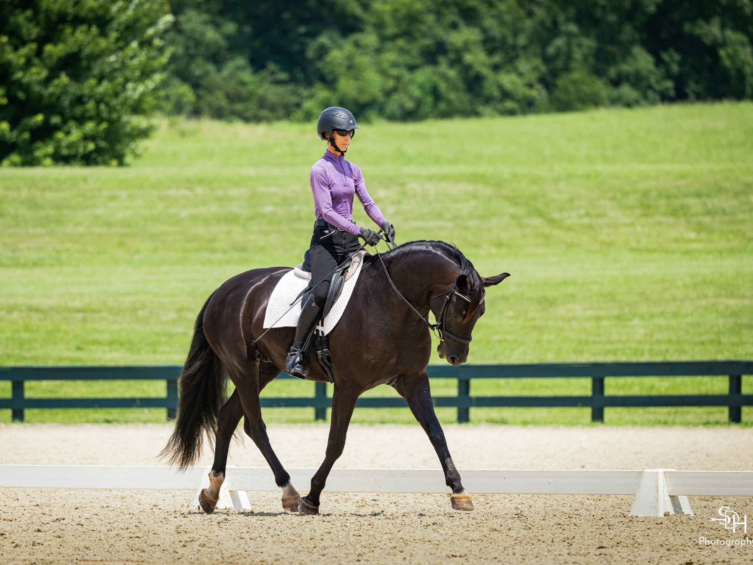 Fierce GMDS trot 2.jpg