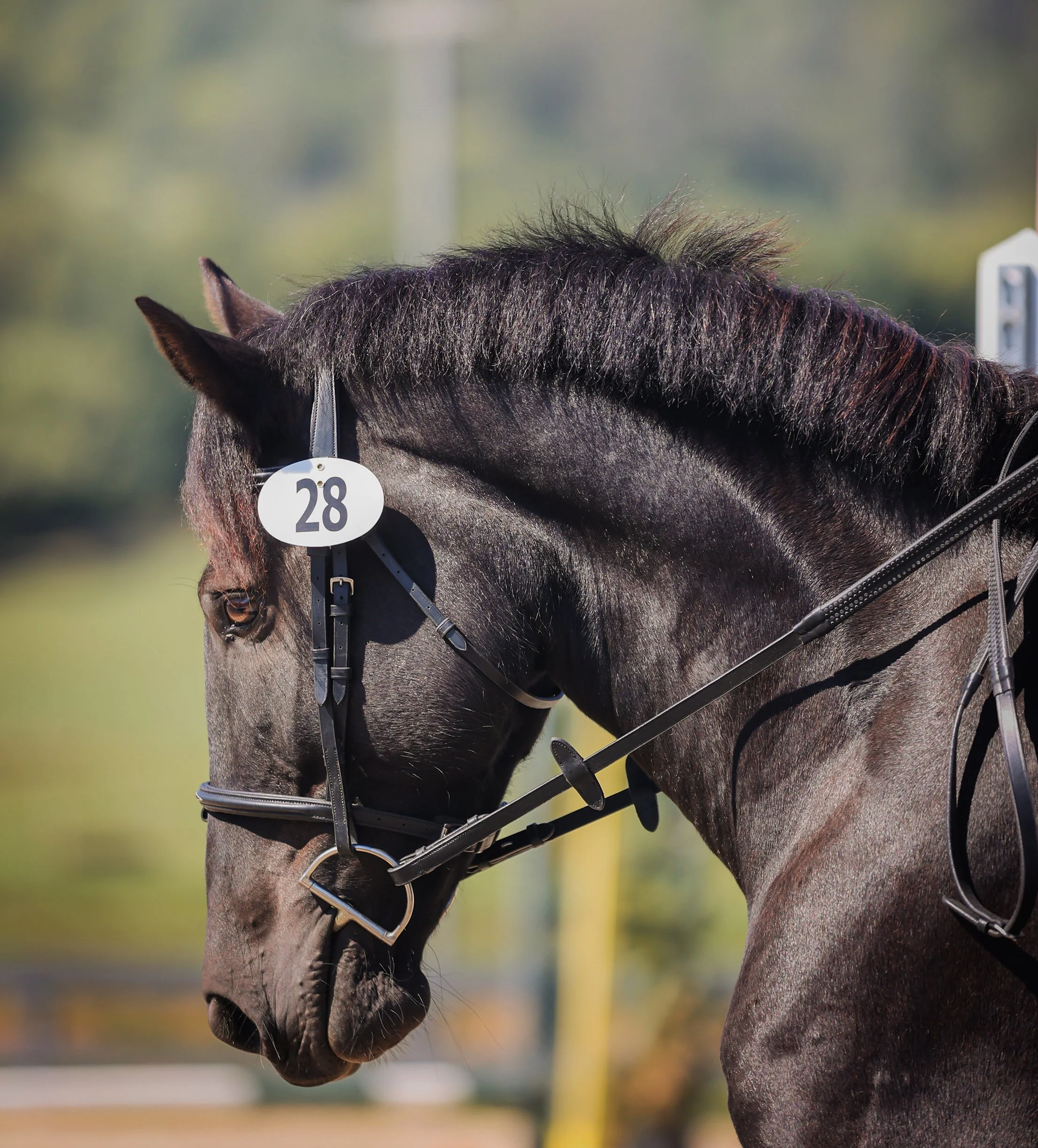 Ruca RGST prof pretty 1 med.jpg