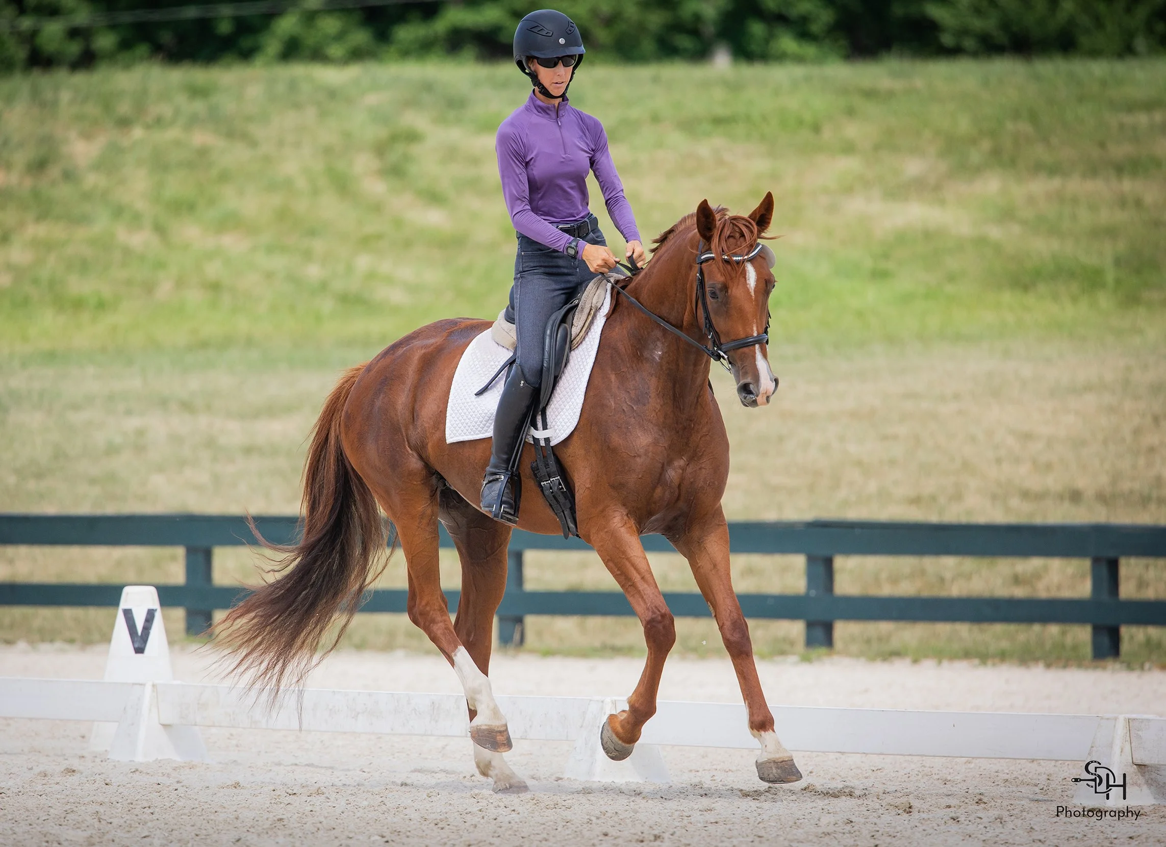 Cadenza CDCTA DS canter 1 med.jpg