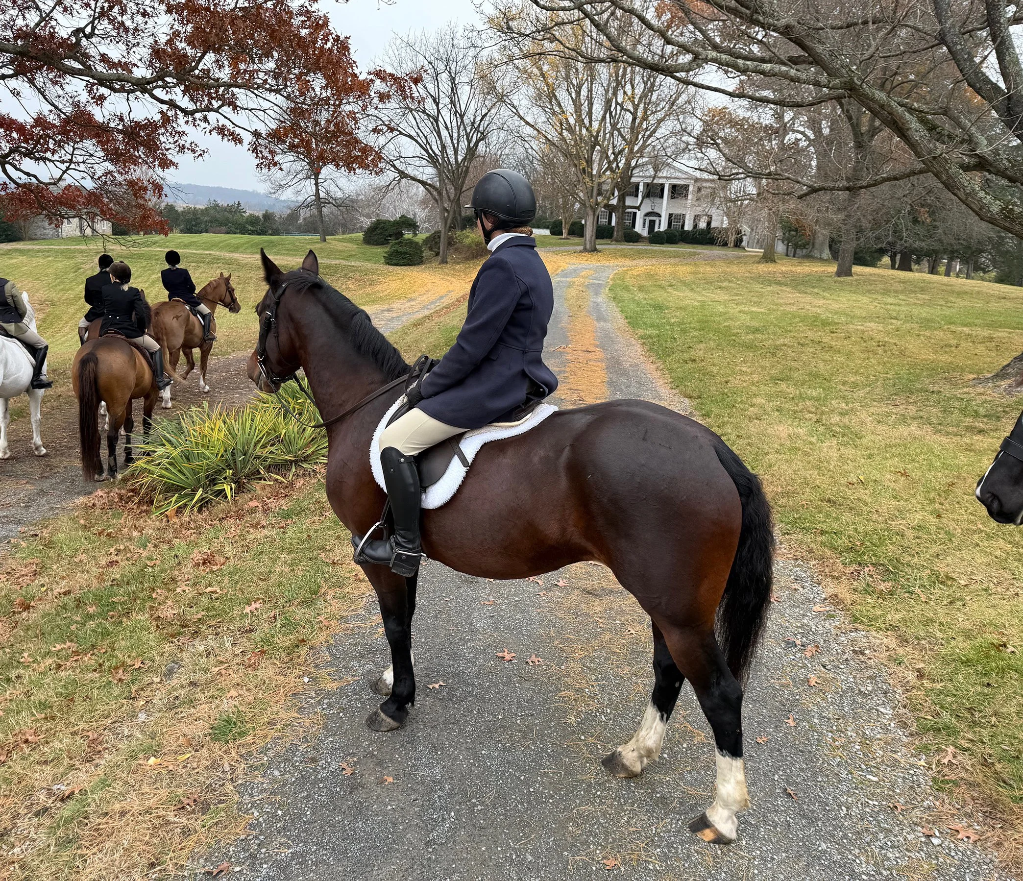 Tee hunt 11-25-2.jpg