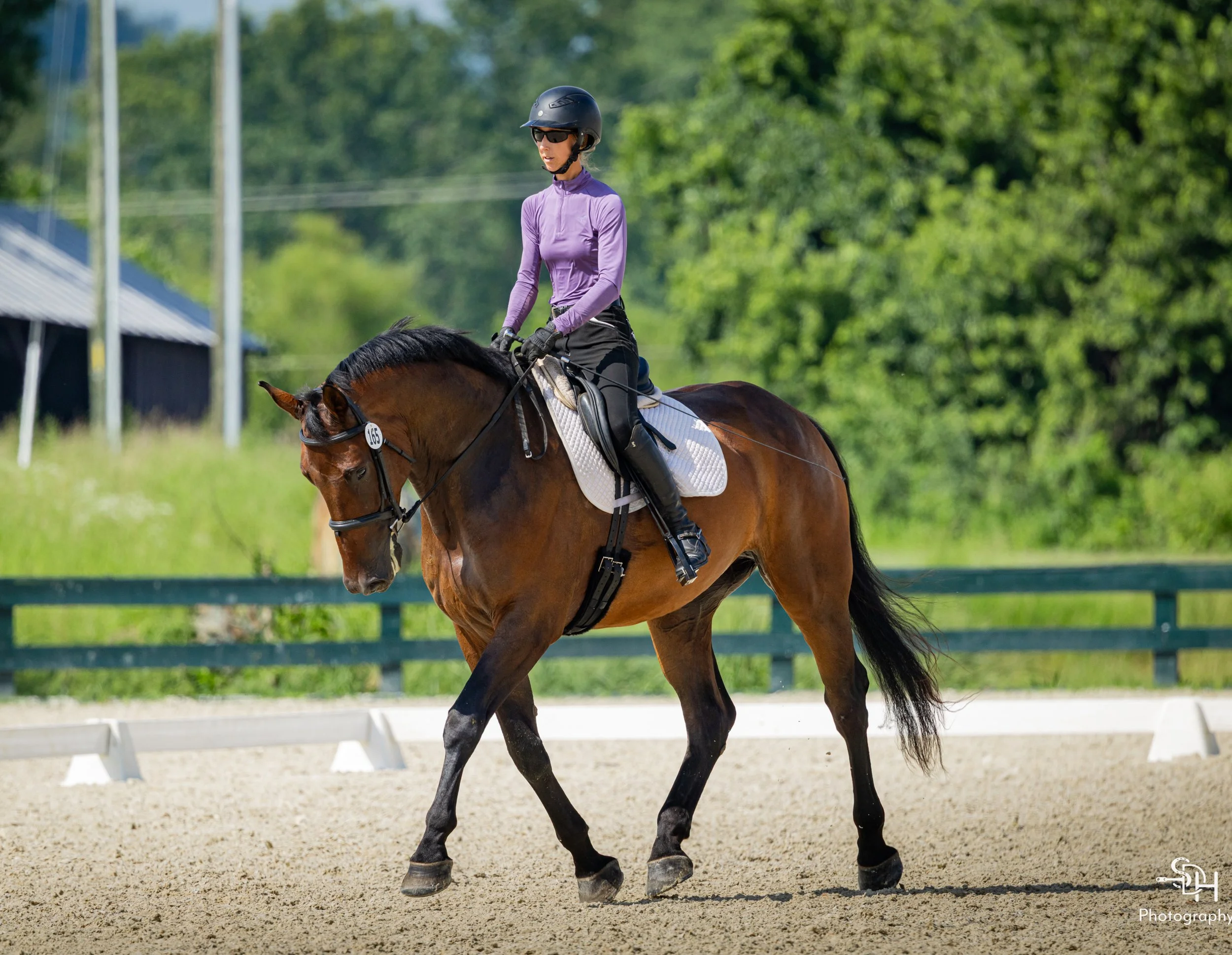 Jacek GMDS trot 1.jpg