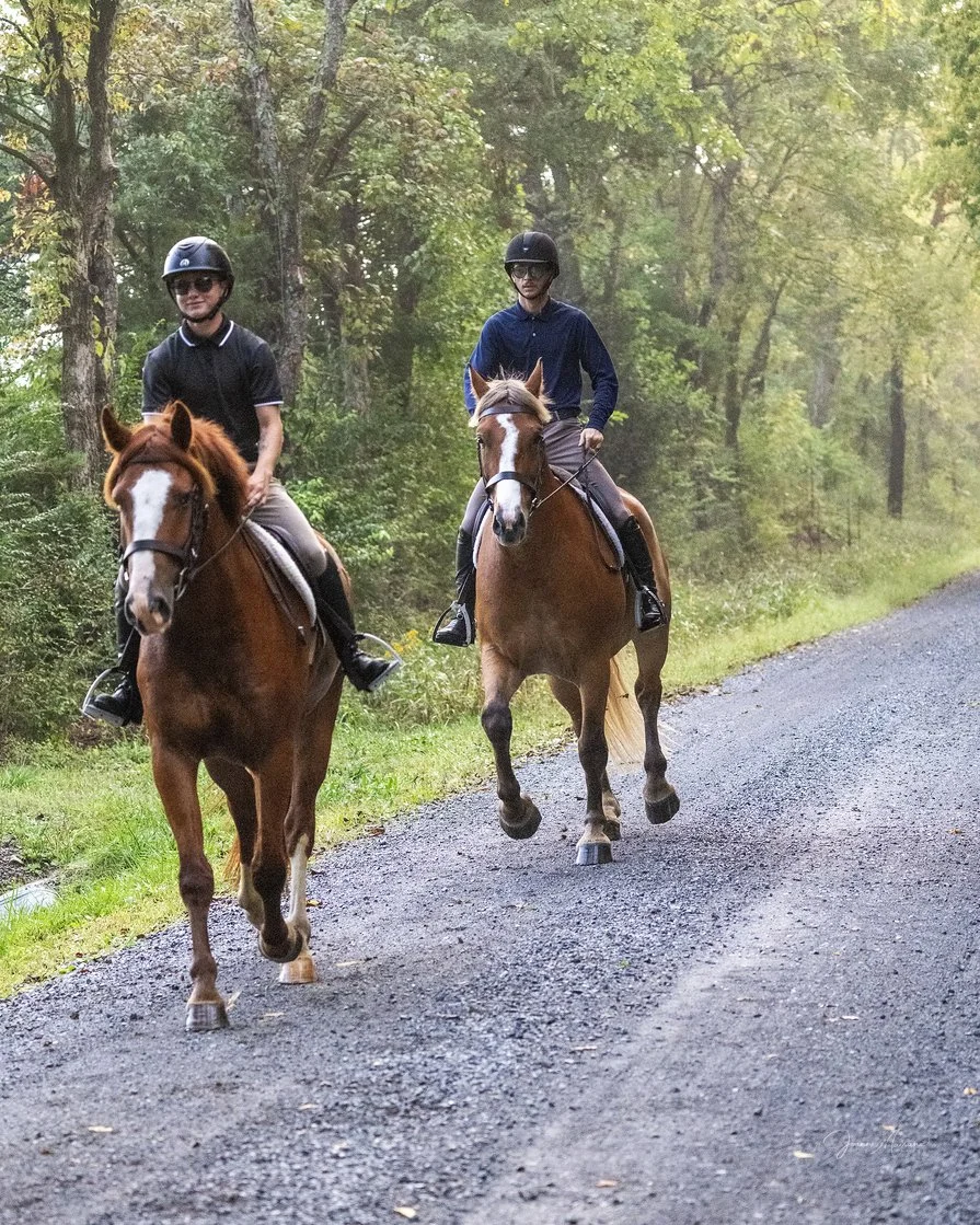 Dewey hunt 9-19-24-1.jpg