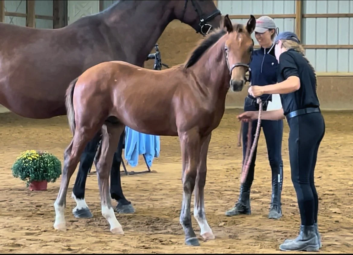 Fame inspection RS 1.jpg