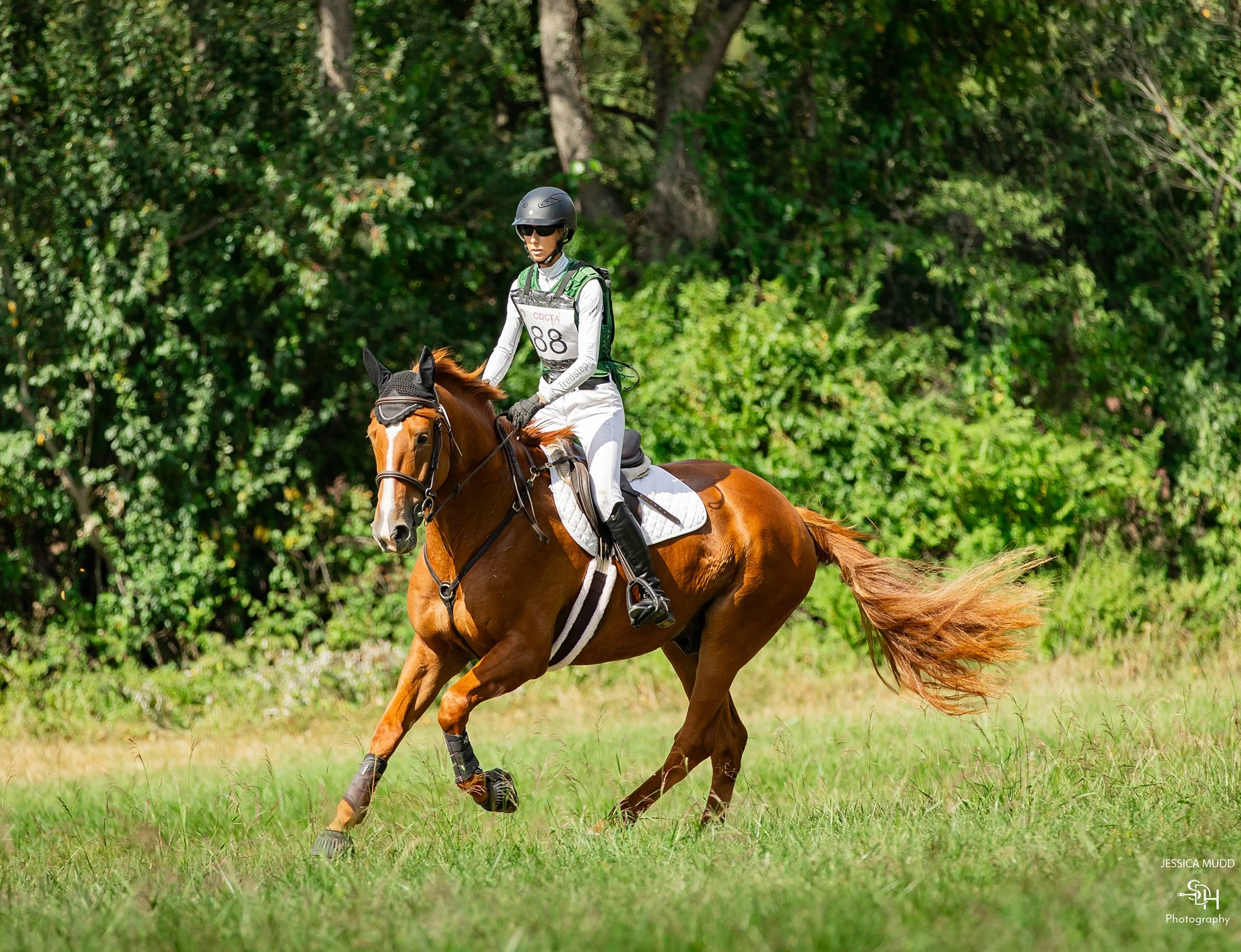 Titanium CDCTA prof gallop 1 med.jpg