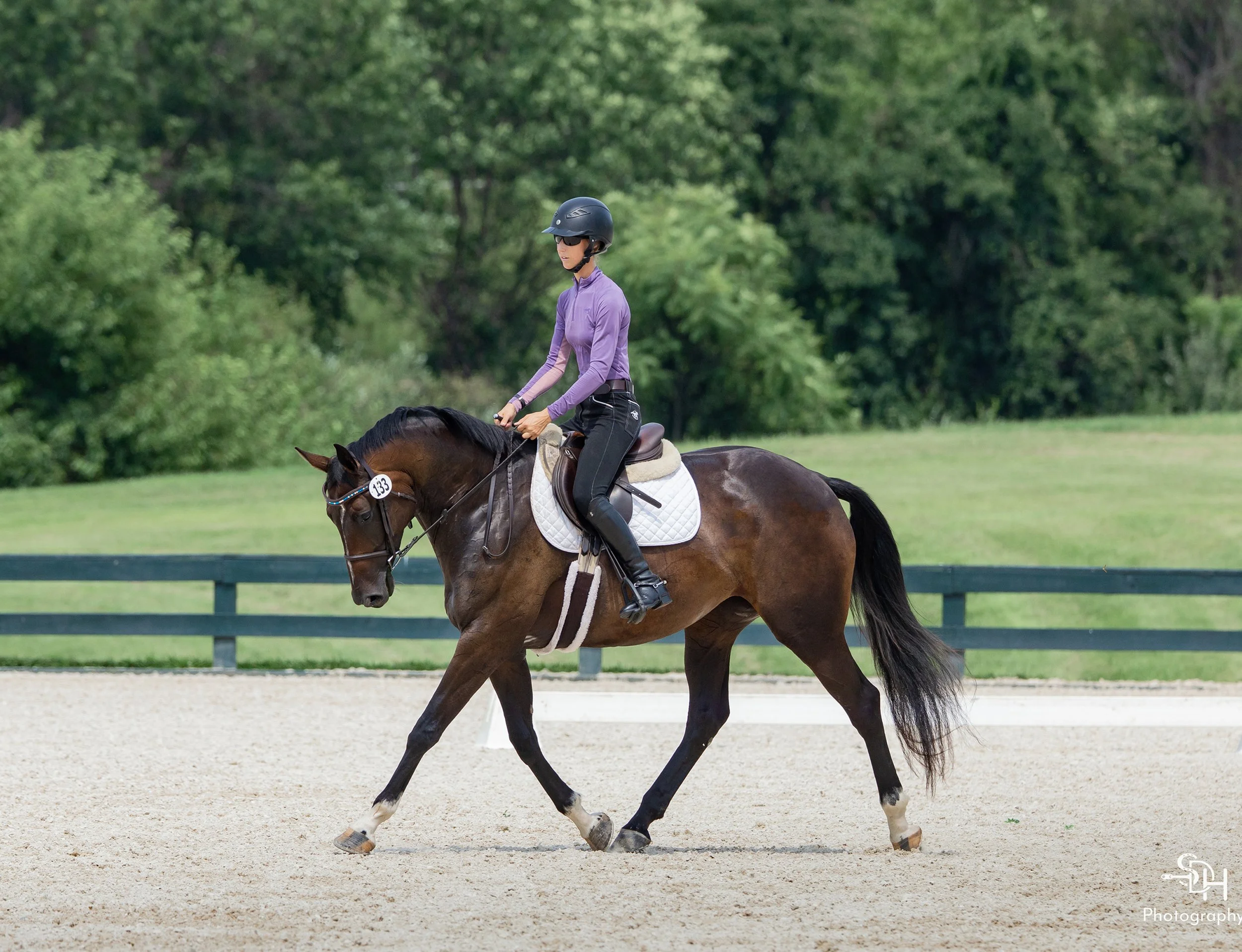 Lyra GMDS trot 2 med.jpg