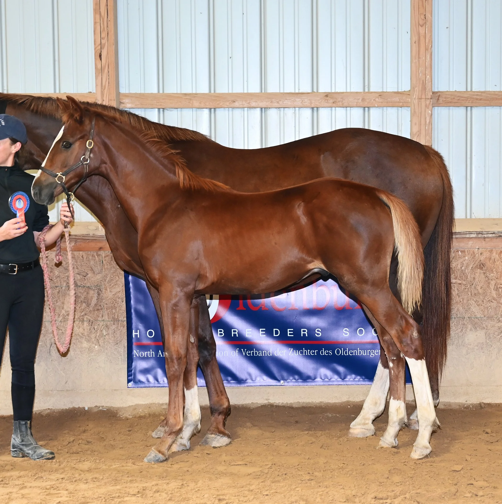 Quiet inspection LS 2.jpg