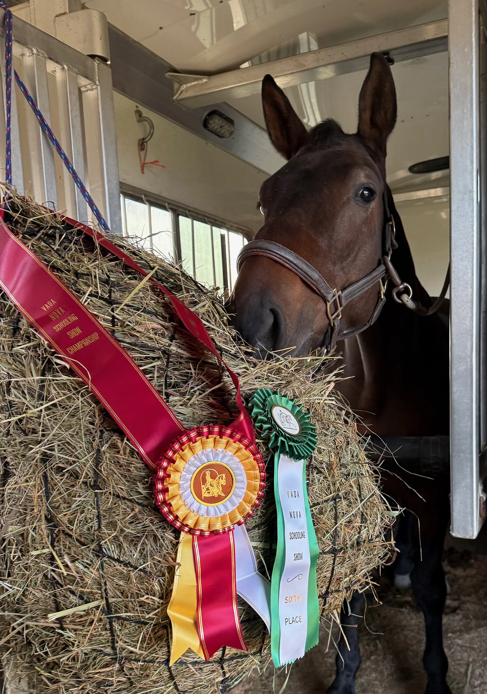 Jacek NOVADC ribbons 1.jpg