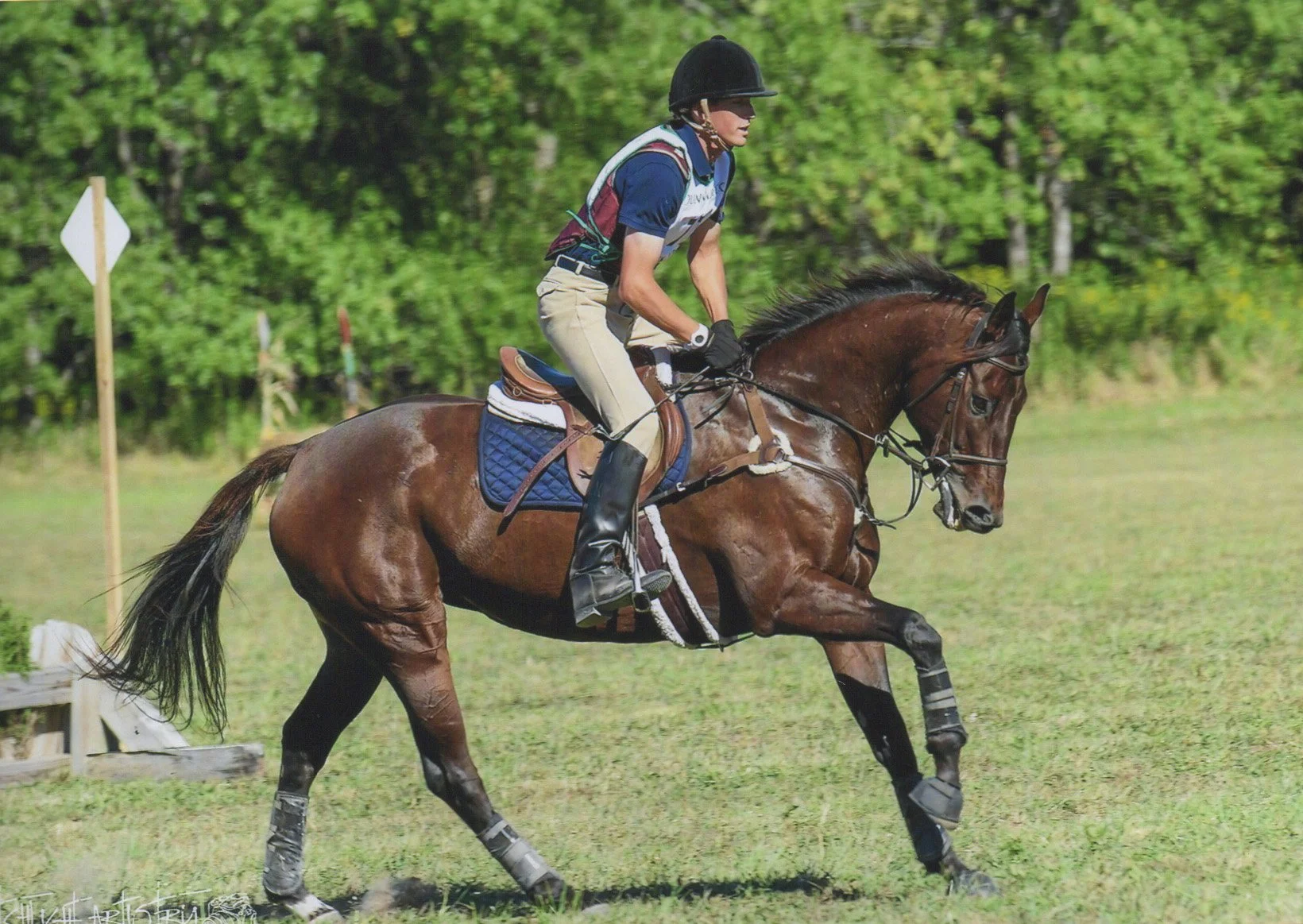 Russia DBHT x-c gallop prof. 1.jpg