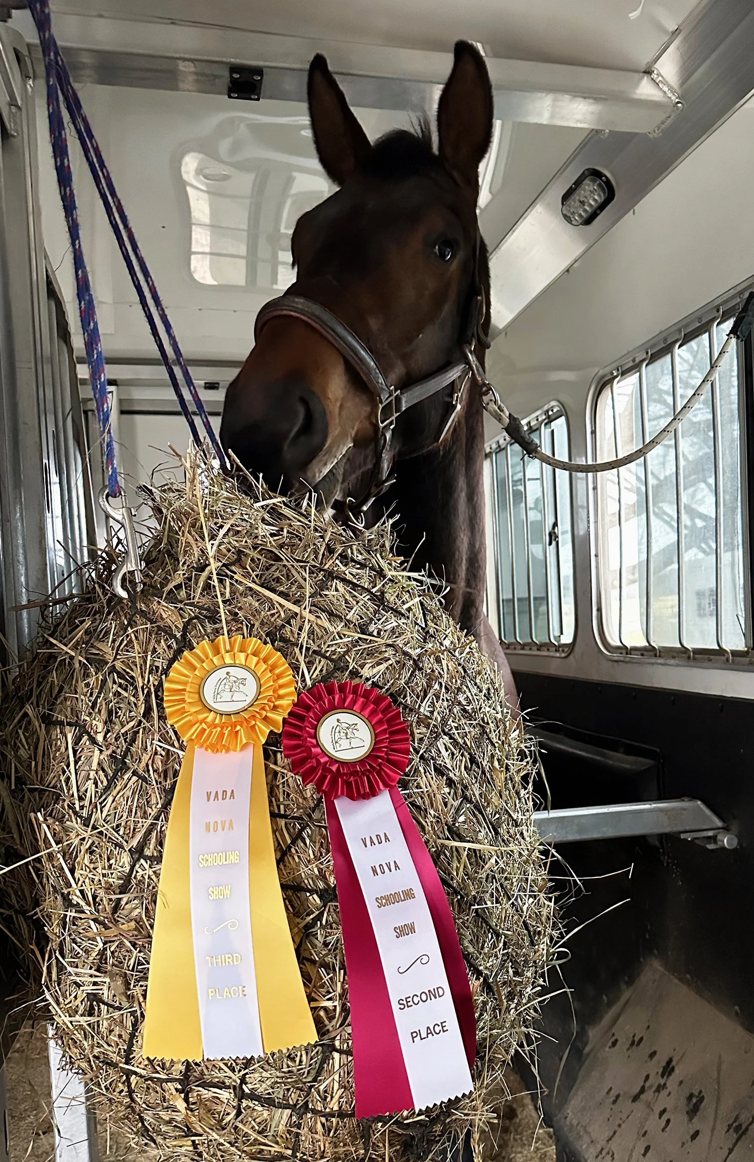 Jacek MPDS ribbon 1.jpg