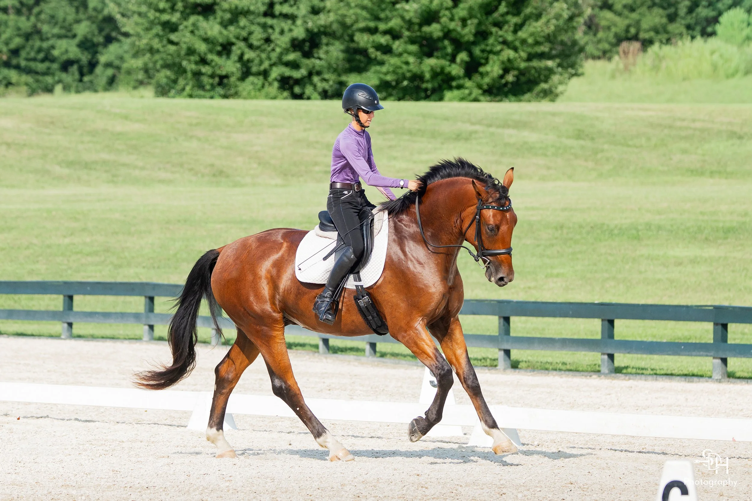 Fame GMDS2 canter 4 med.jpg