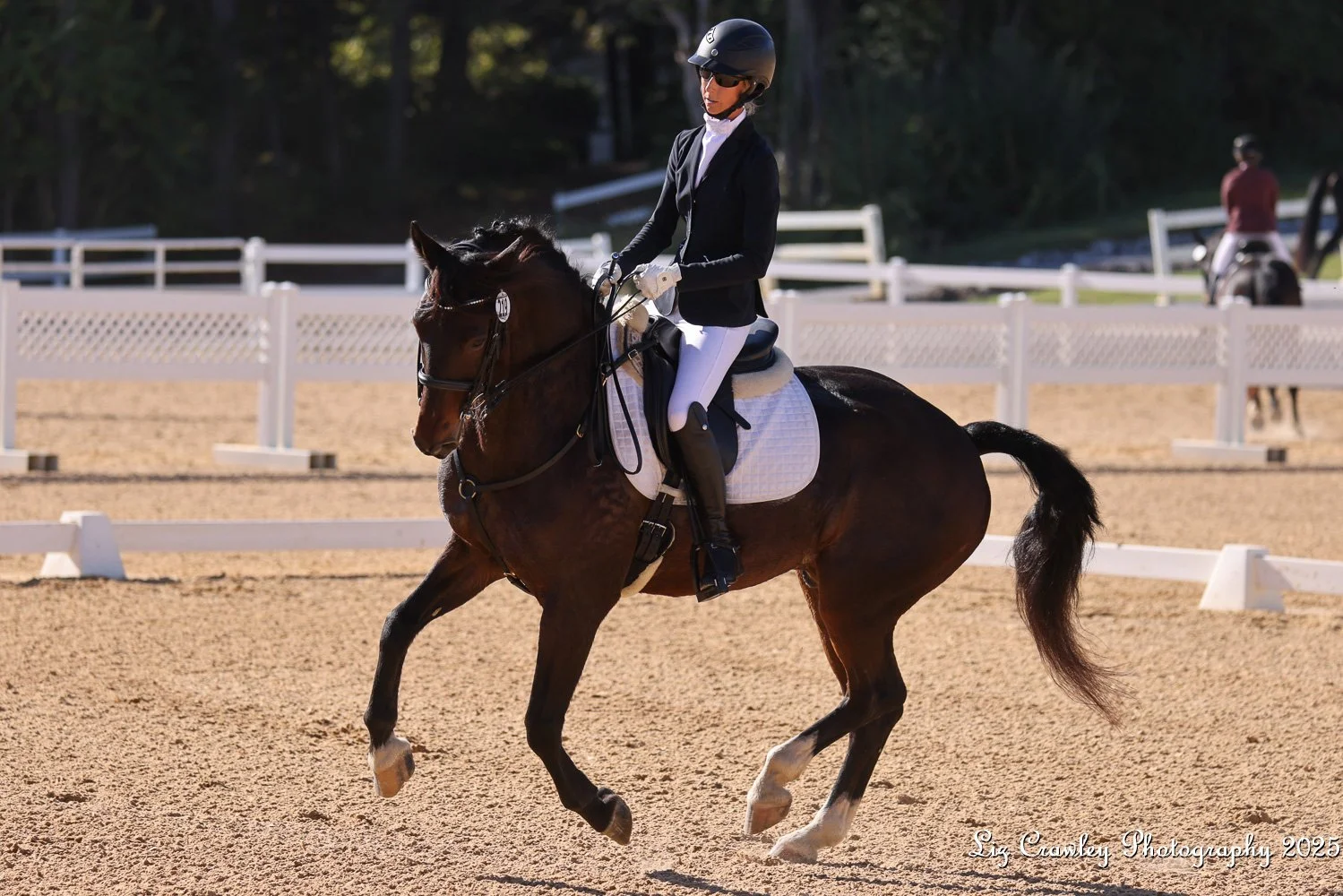 Marcelo GAIG25 prof canter 2.jpg