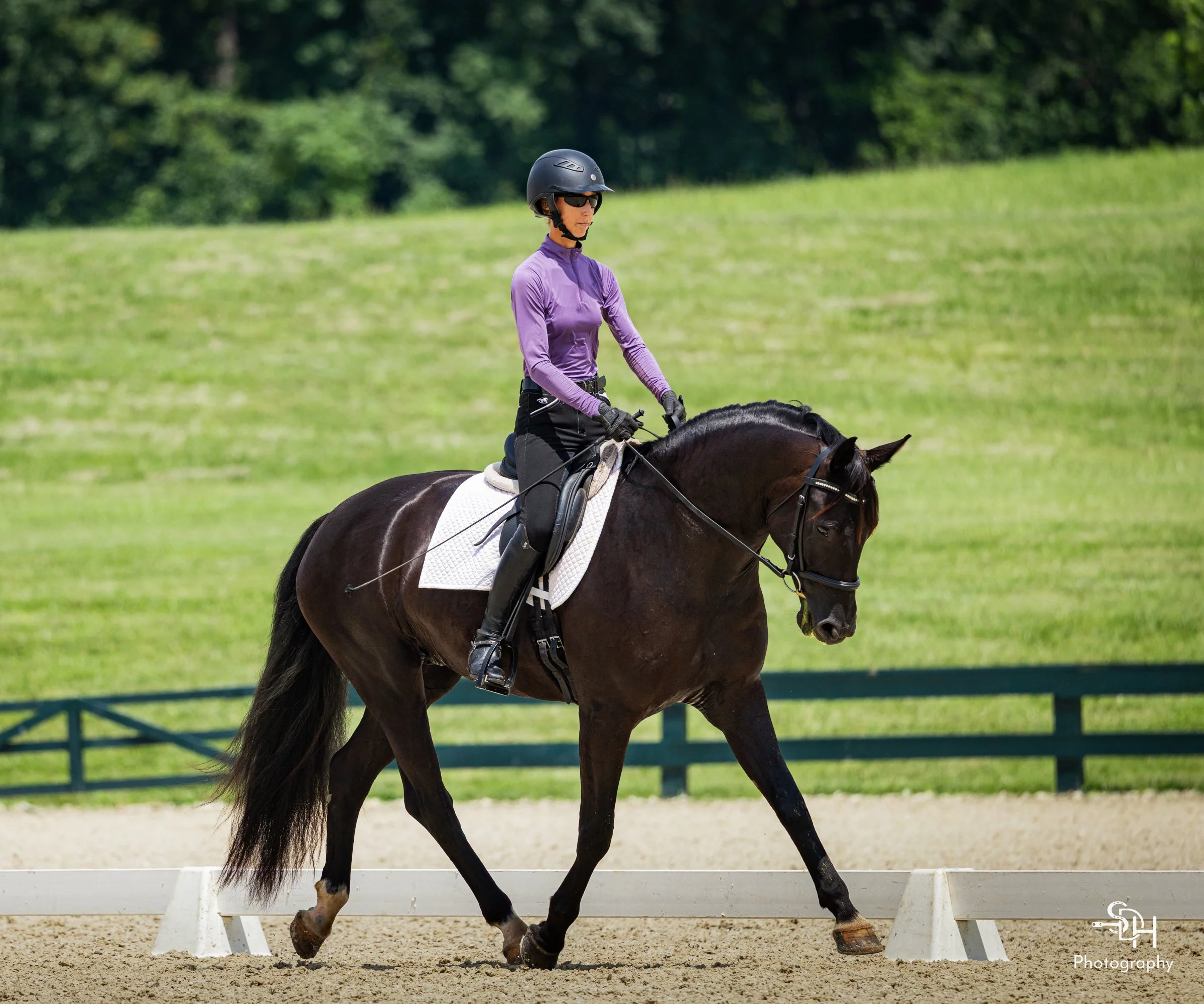 Fierce GMDS trot 3.jpg