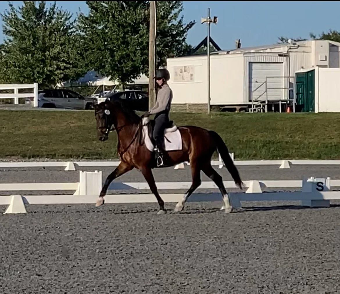 Marcelo MDTW 8-22-1 trot 1.jpg