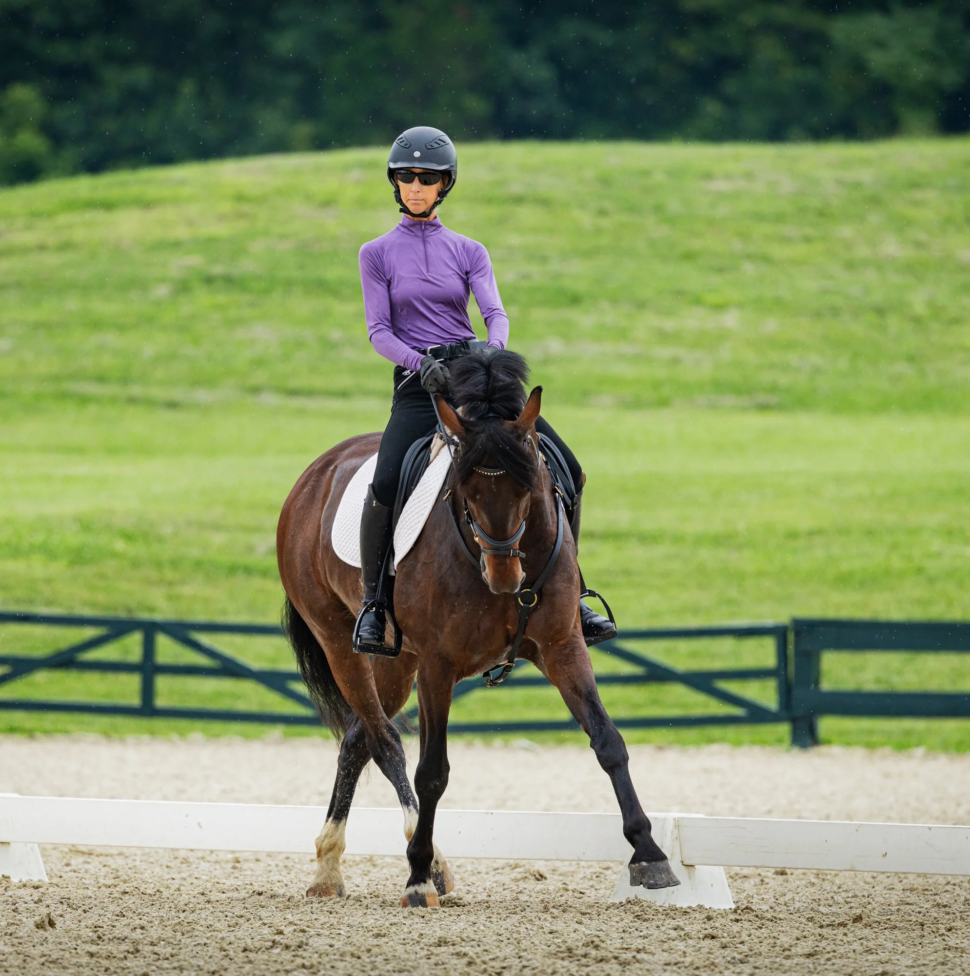 Marcelo GMDS 7-24 trot 1.jpg