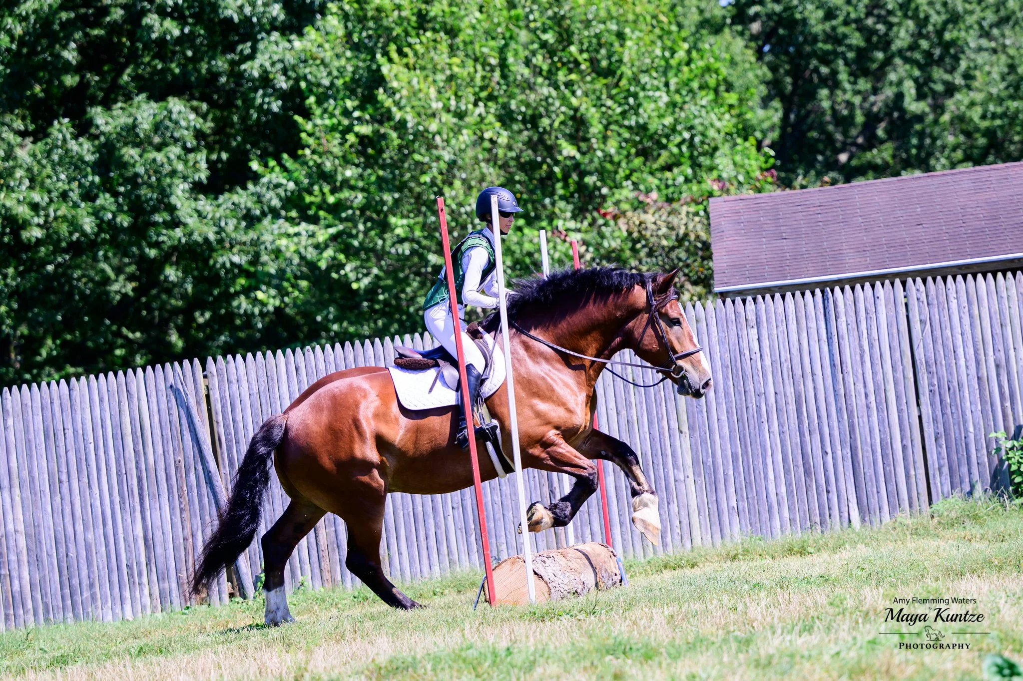 Mungo WDST prof xc jump 1.jpg