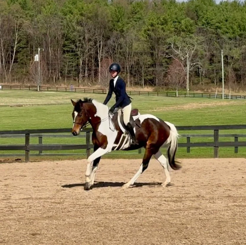 Gelos WCFHS canter 1.jpg