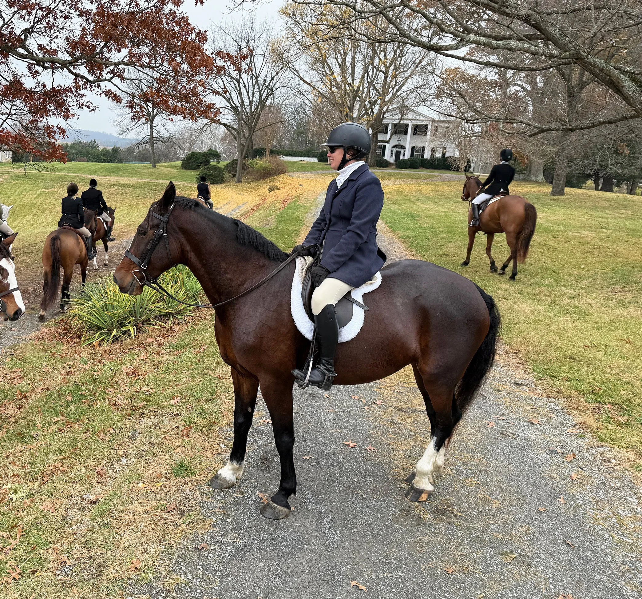 Tee hunt 11-25-5.jpg