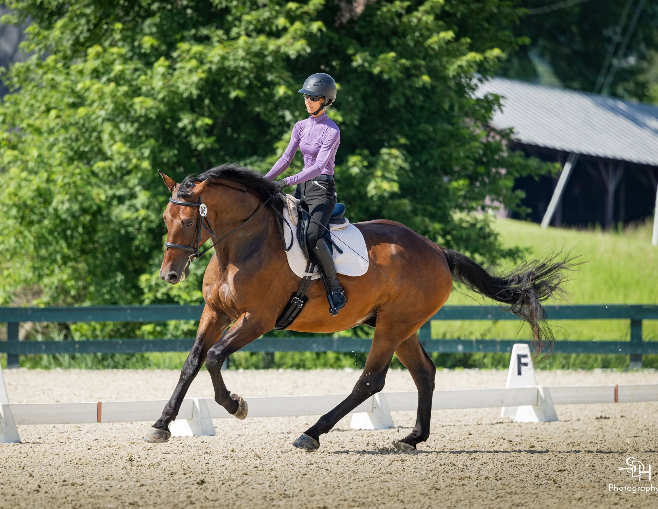 Jacek GMDS canter 3 med.jpg