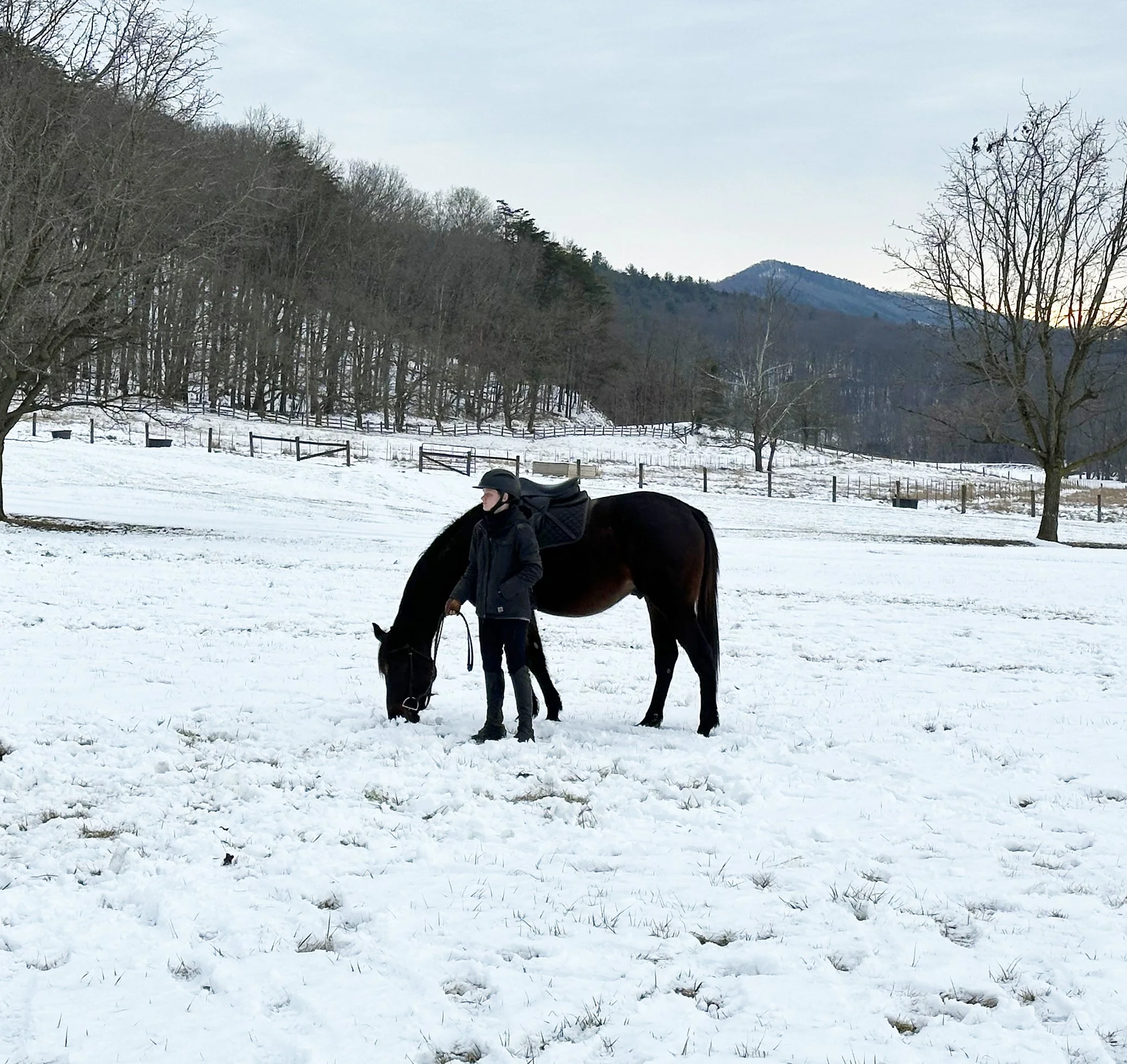 Tango 2 stand JF 2.jpg