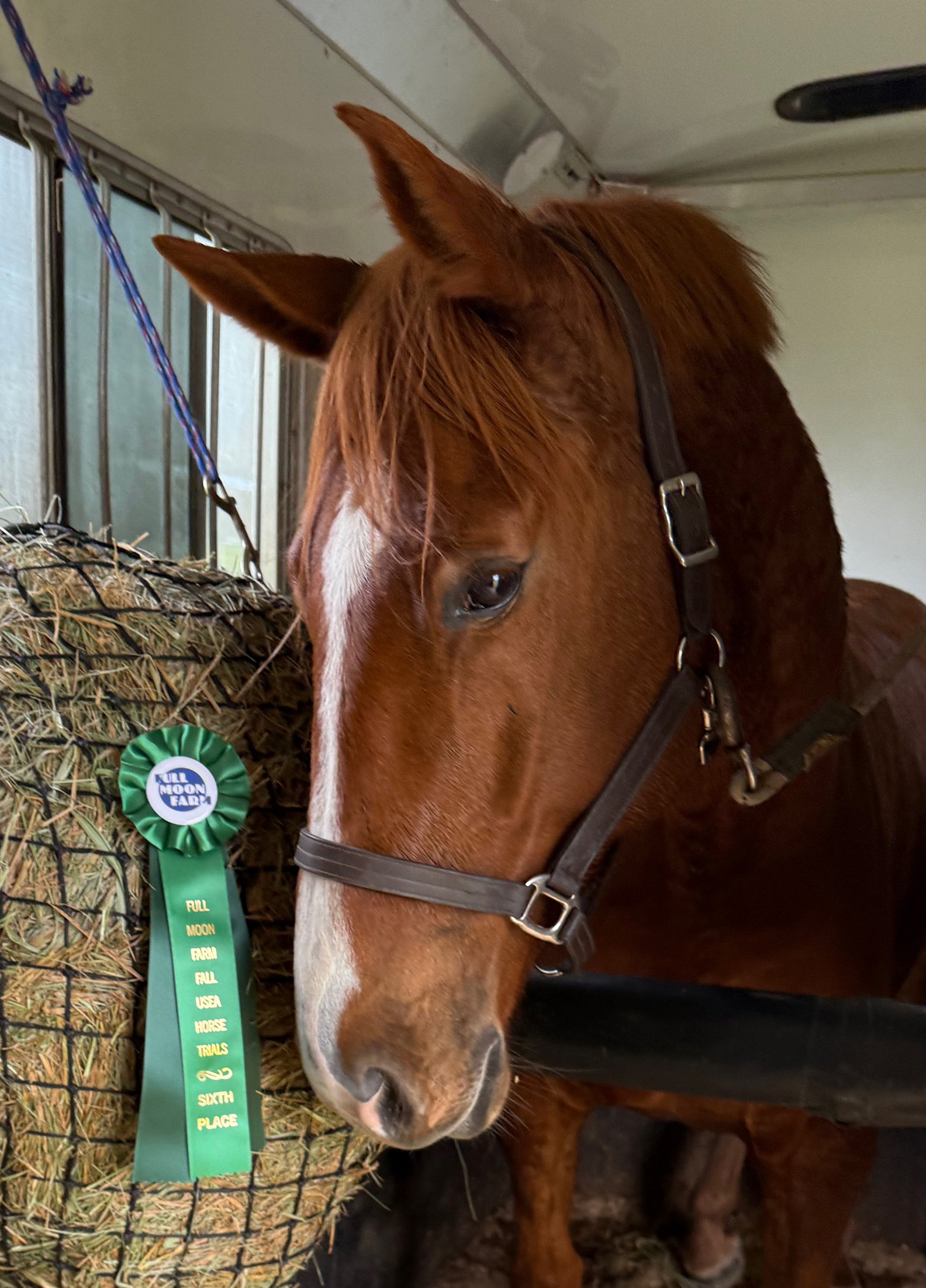 Titanium FMFHT ribbon 1.jpg