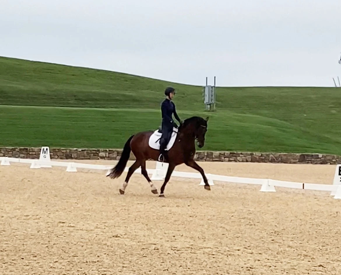 Marcelo MPDS trot 2.jpg