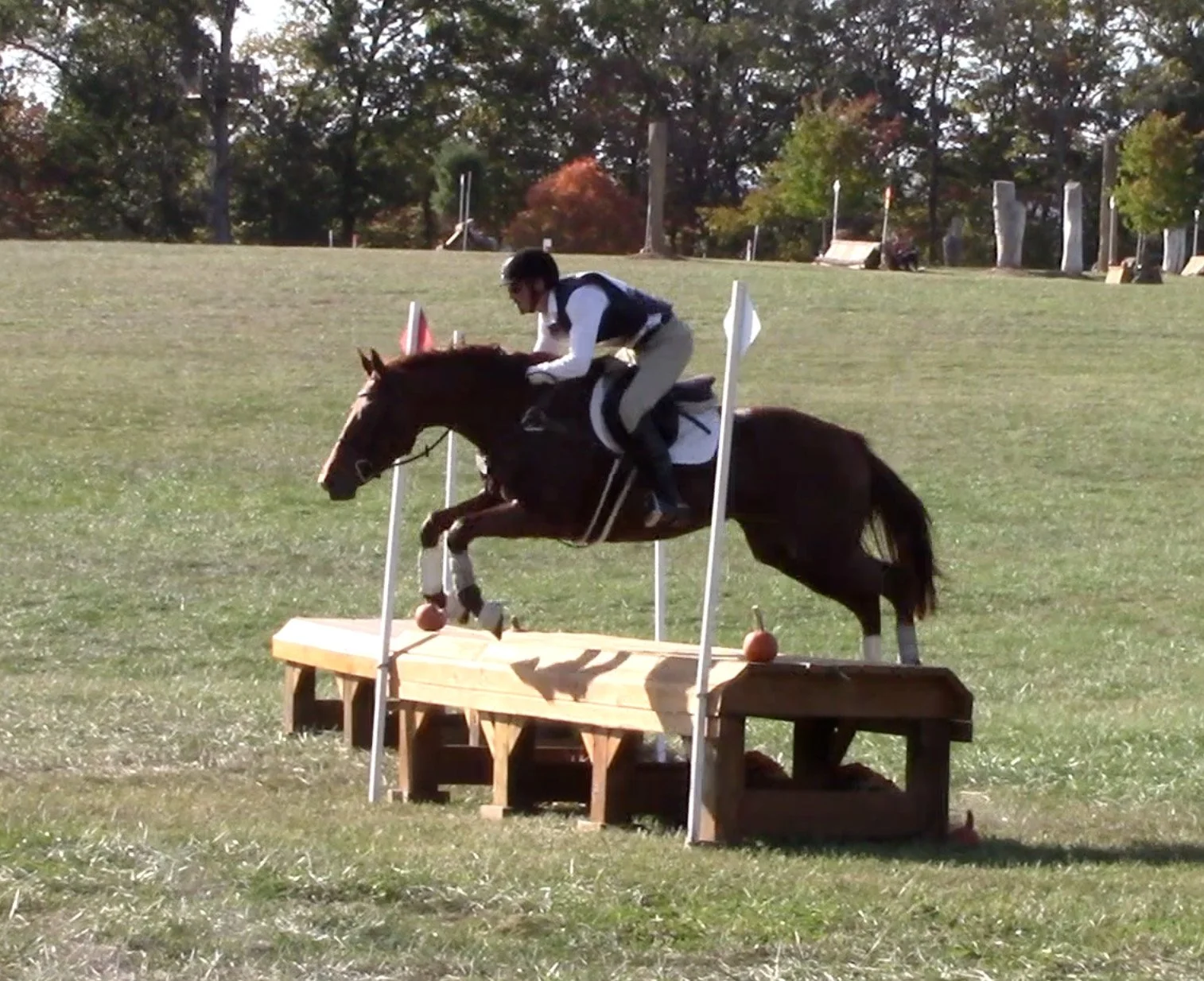 Ilka MDHT3 xc jump 1.jpg
