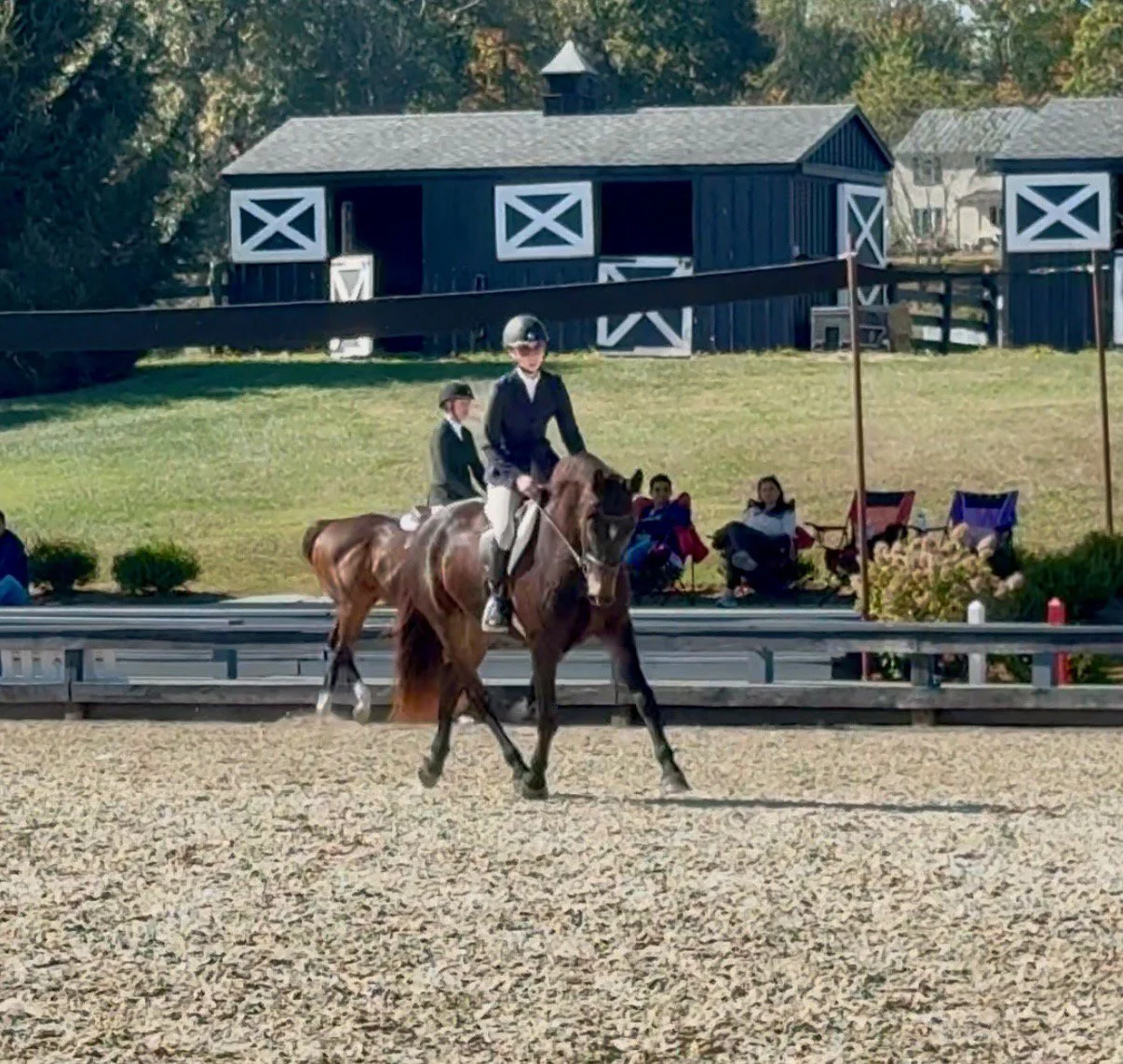 Zolin BVHS trot 1.jpg