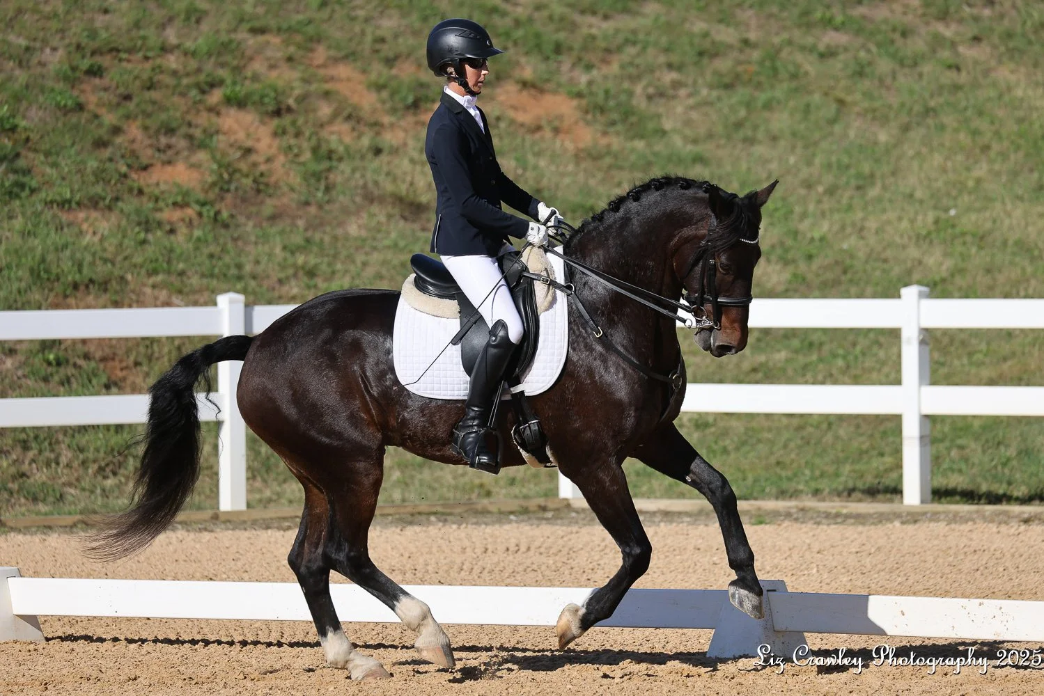 Marcelo GAIG25 prof canter 1.jpg