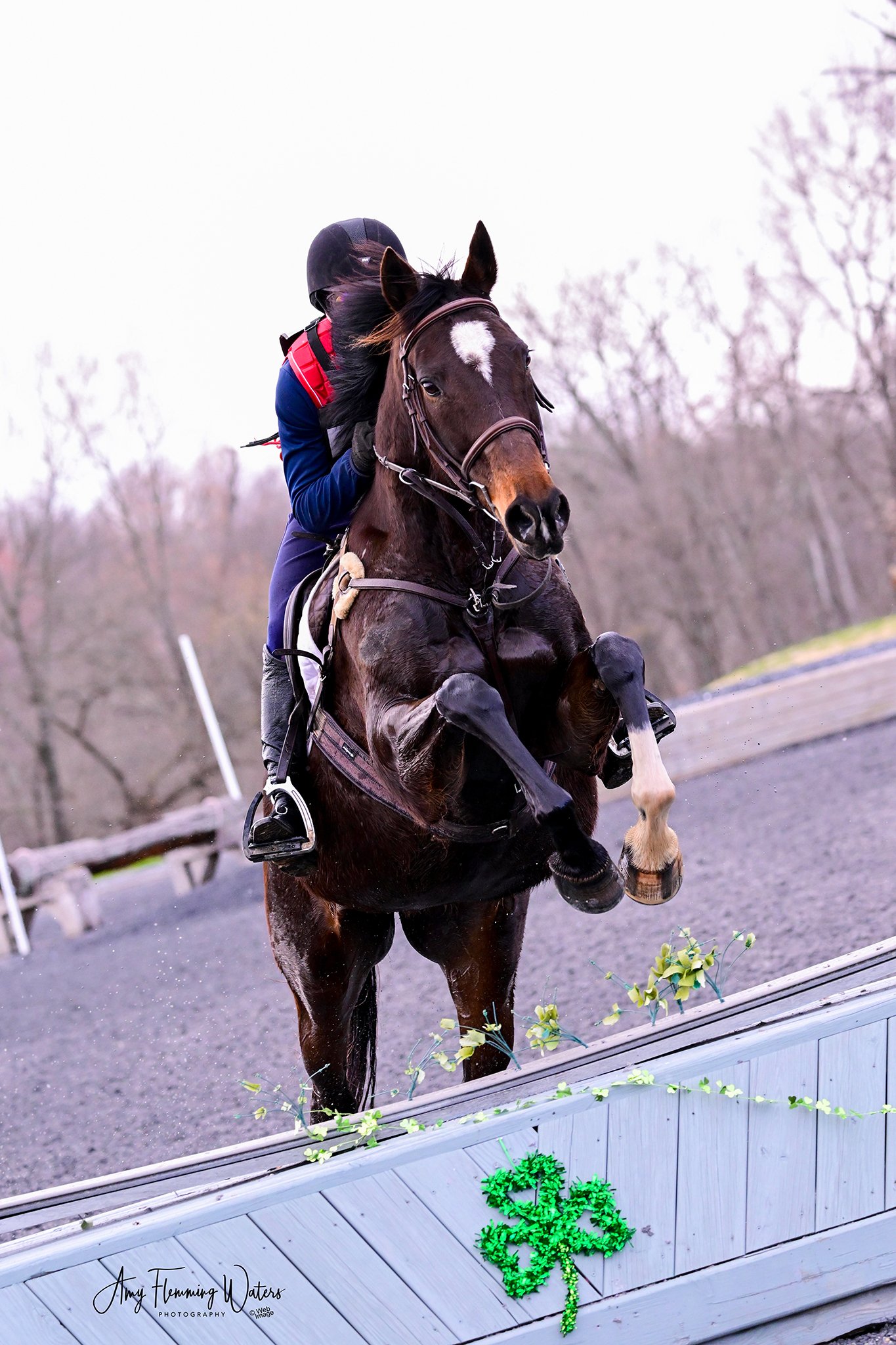 Jelly Bean MDHTED prof jump 2.jpg