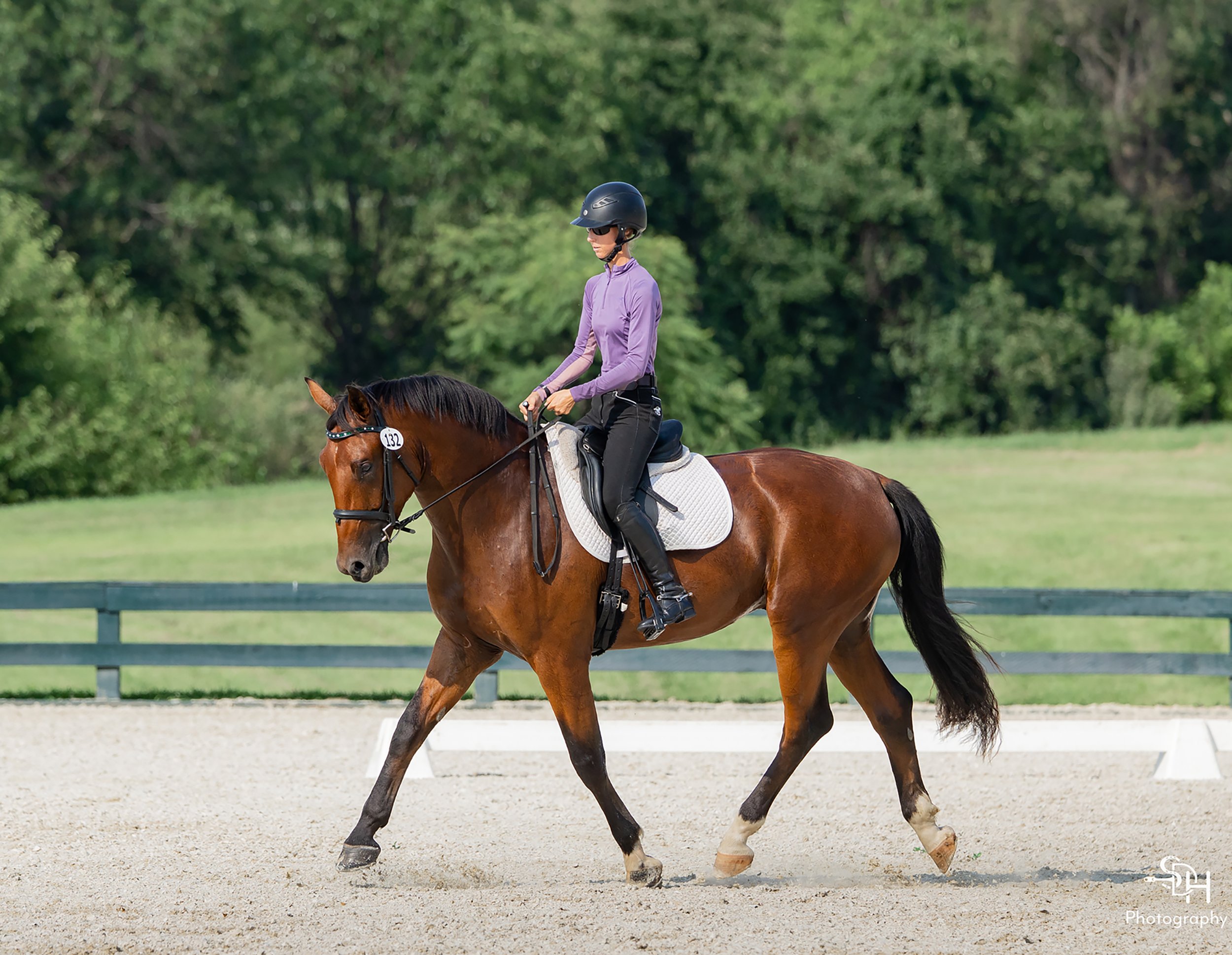 Fame GMDS2 trot 1 med.jpg