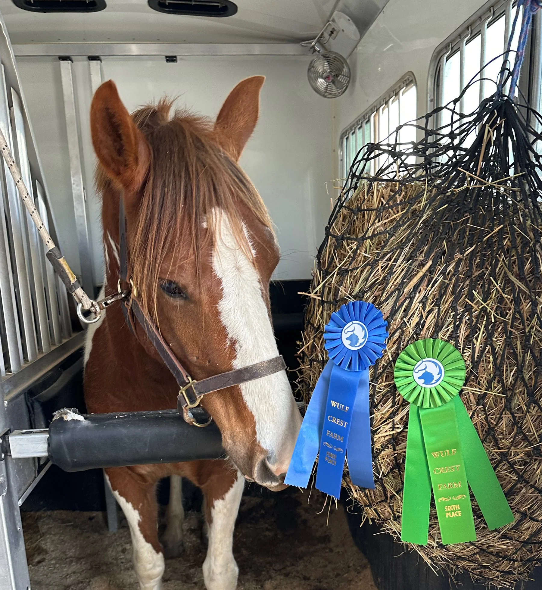 Fish 2 WCFS ribbons.jpg