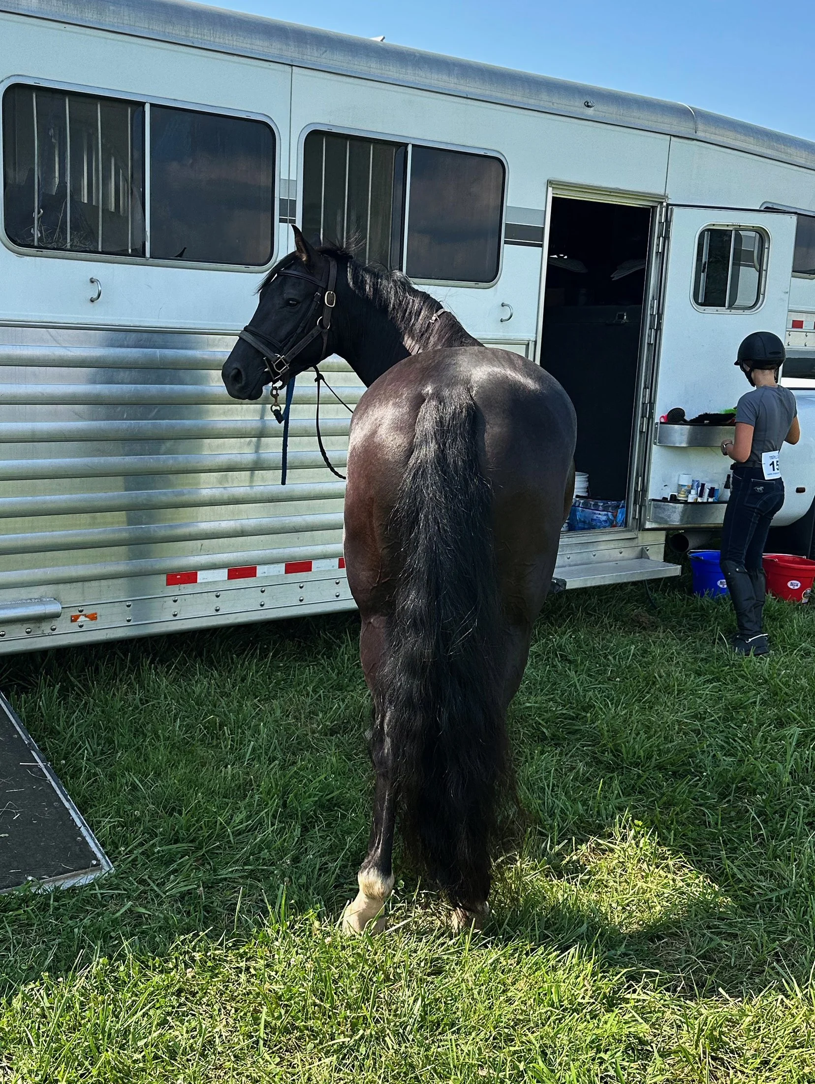 Fierce RGFJS tie 2.jpg