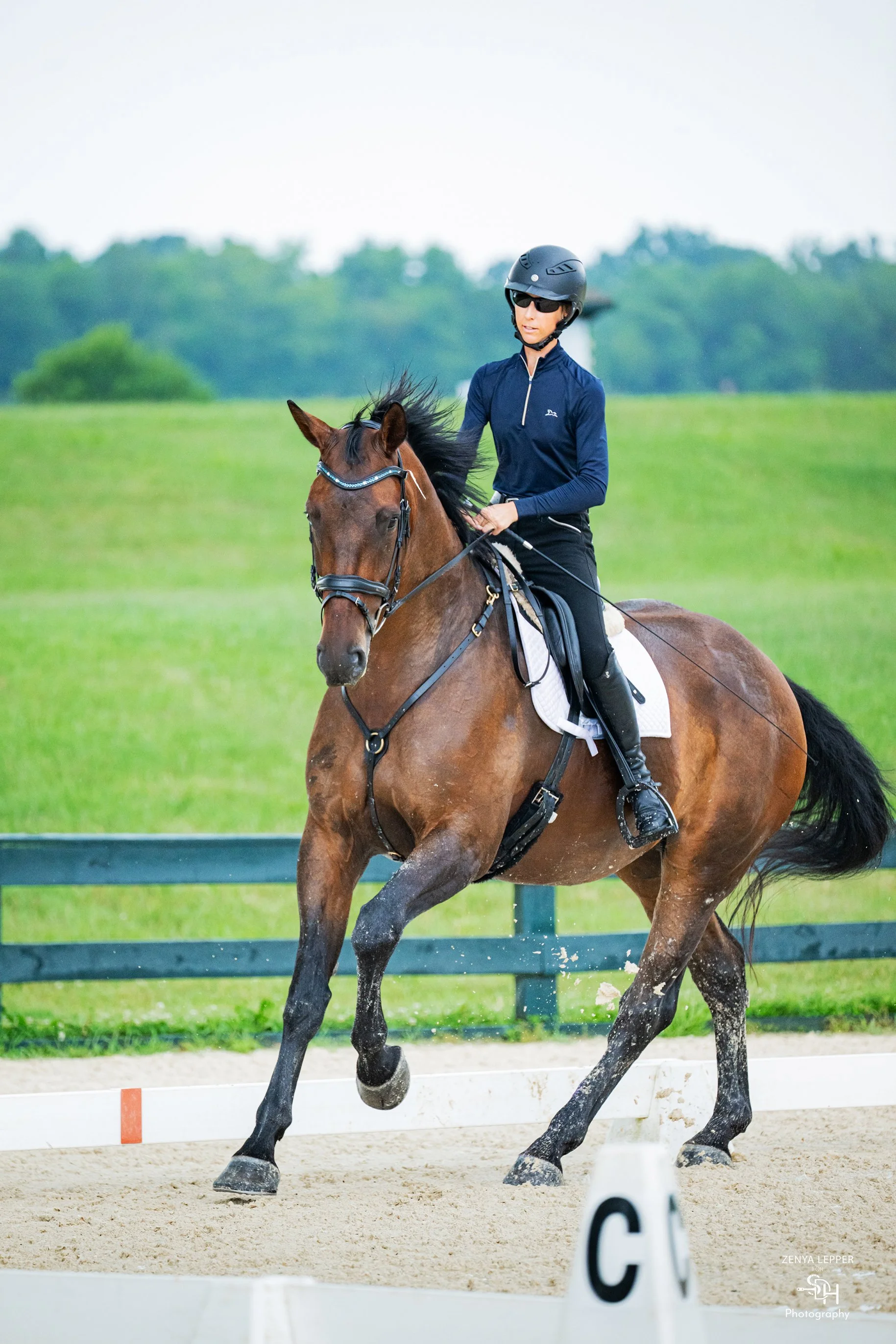 Jacek GMDS 7-26 canter 2 med.jpg
