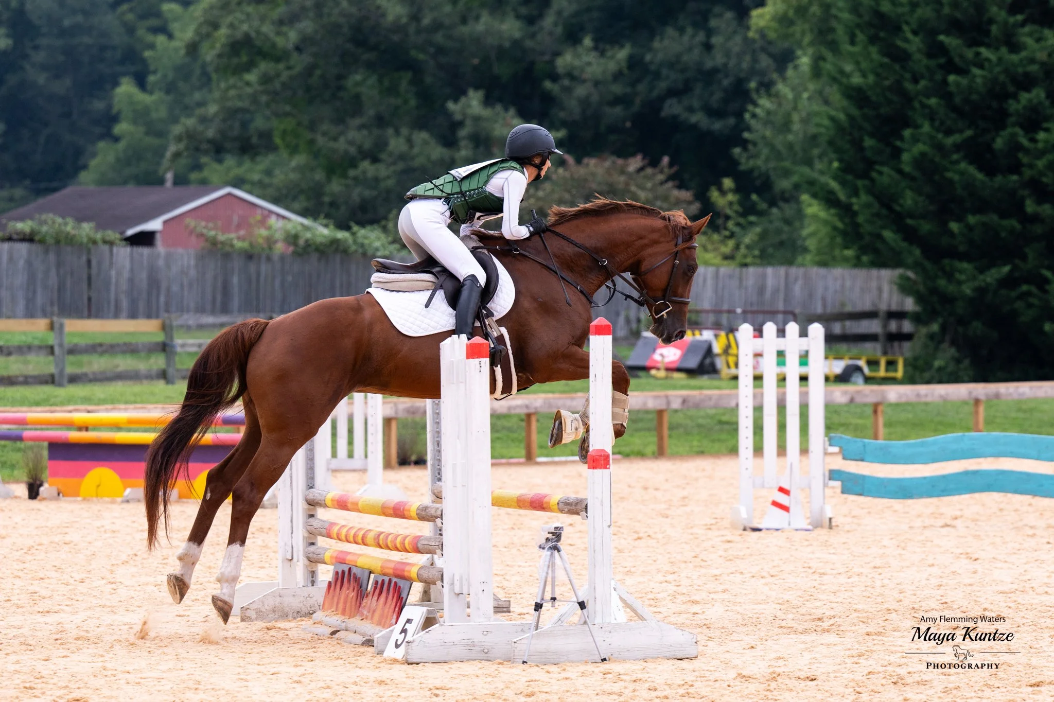 Cadenza WDHT jump 1.jpg