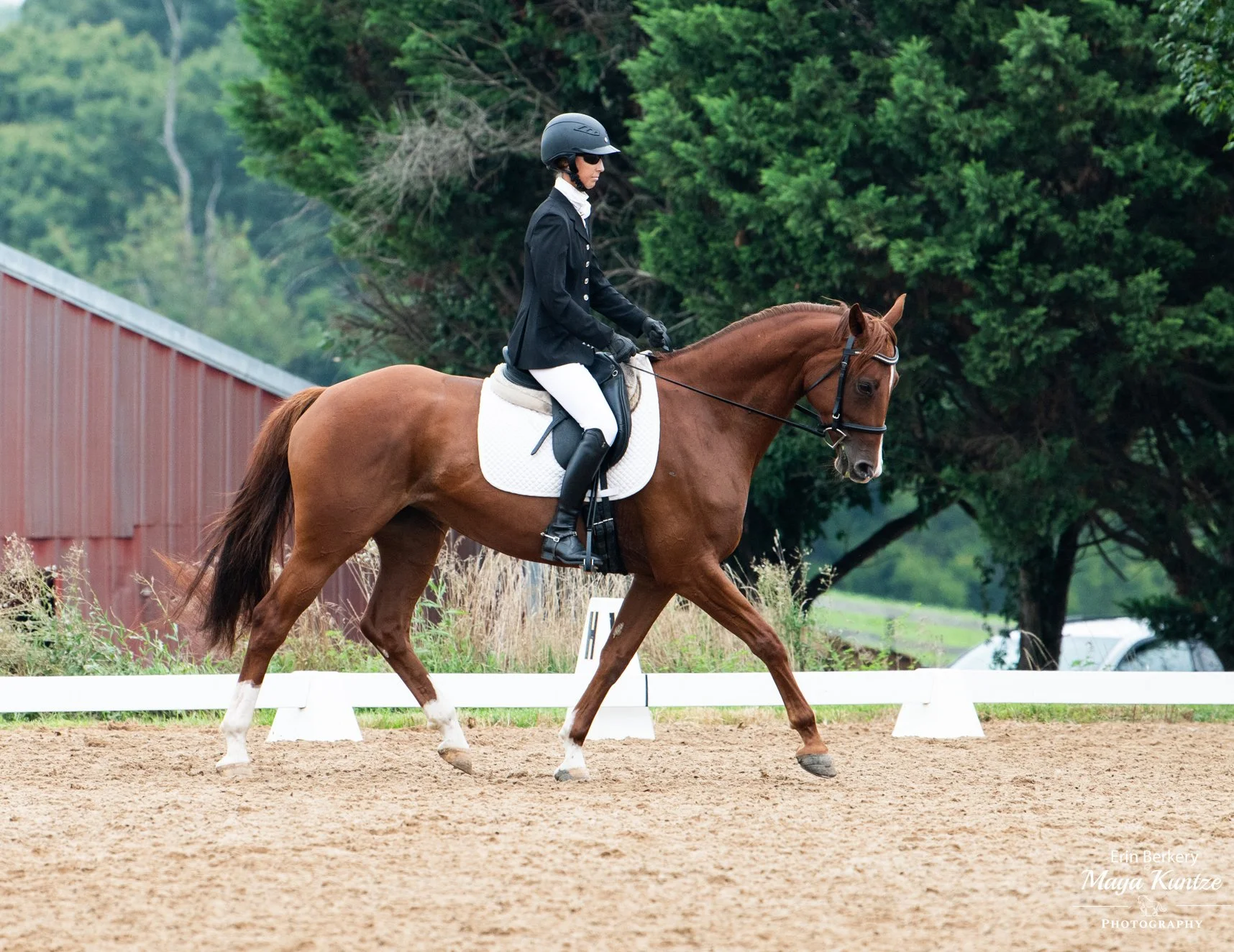 Cadenza WDHT trot 1.jpg
