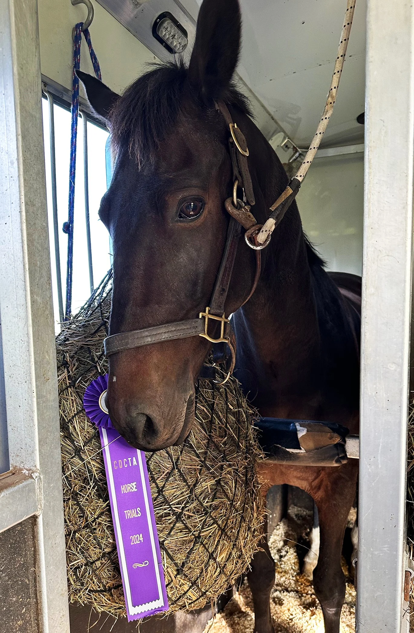 Mulch CDCTA ribbon 1.jpg